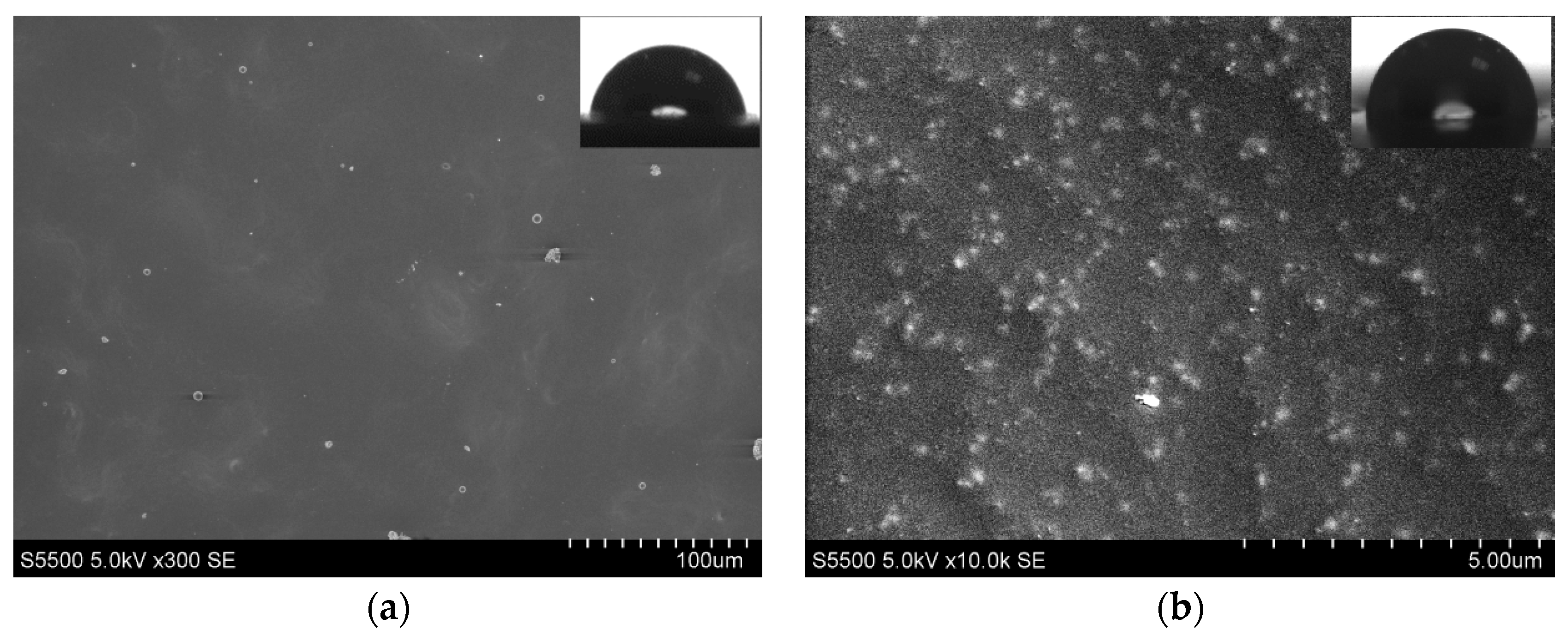 Coatings 09 00811 g004a