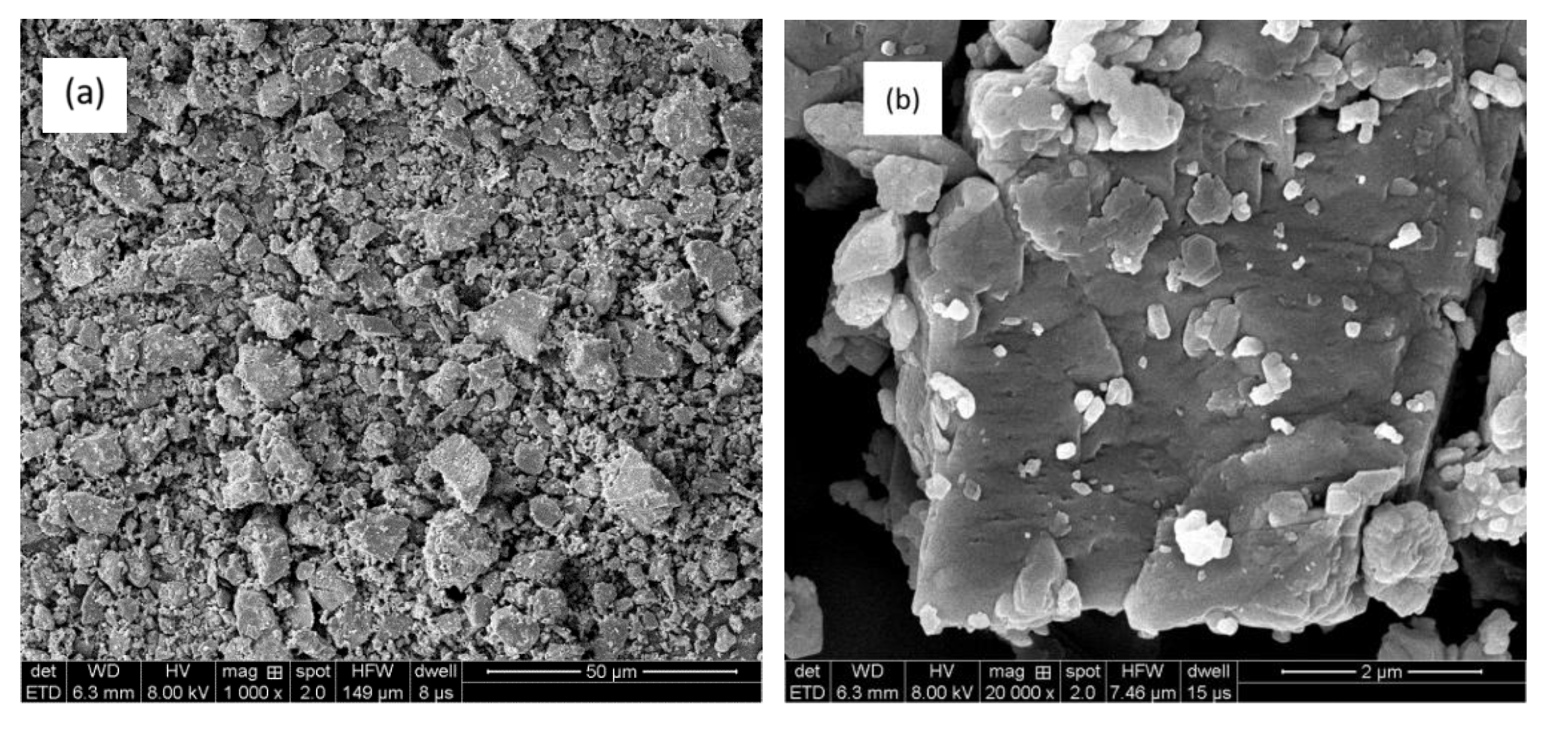 Coatings 09 00813 g010