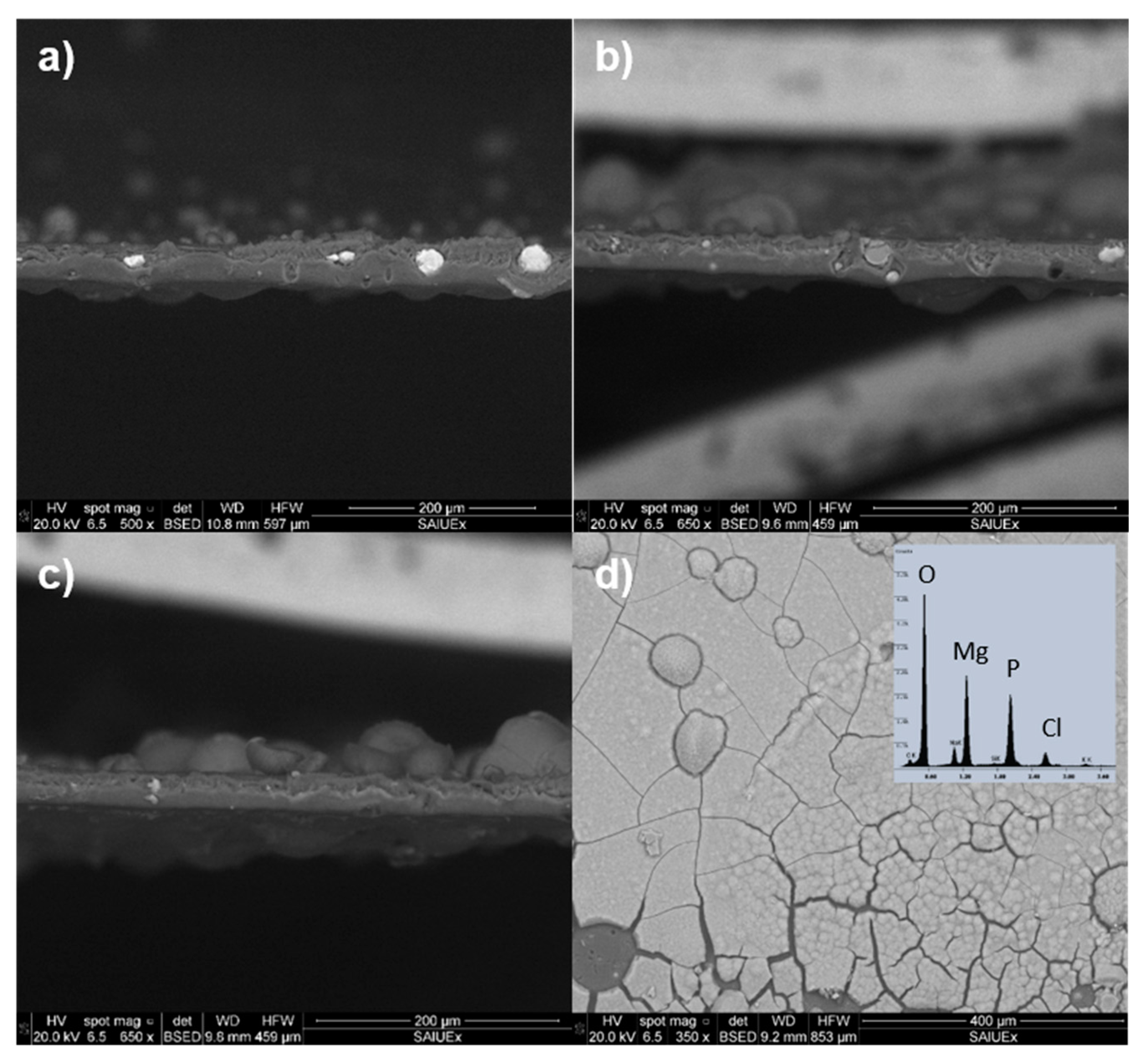 Coatings 09 00814 g005 Coatings 09 00814 g005