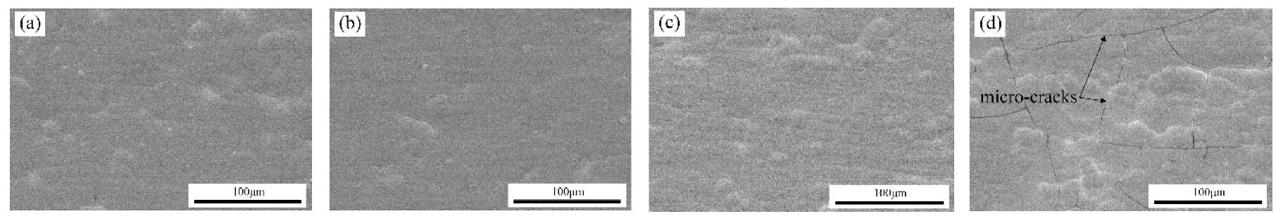 Coatings 09 00815 g003