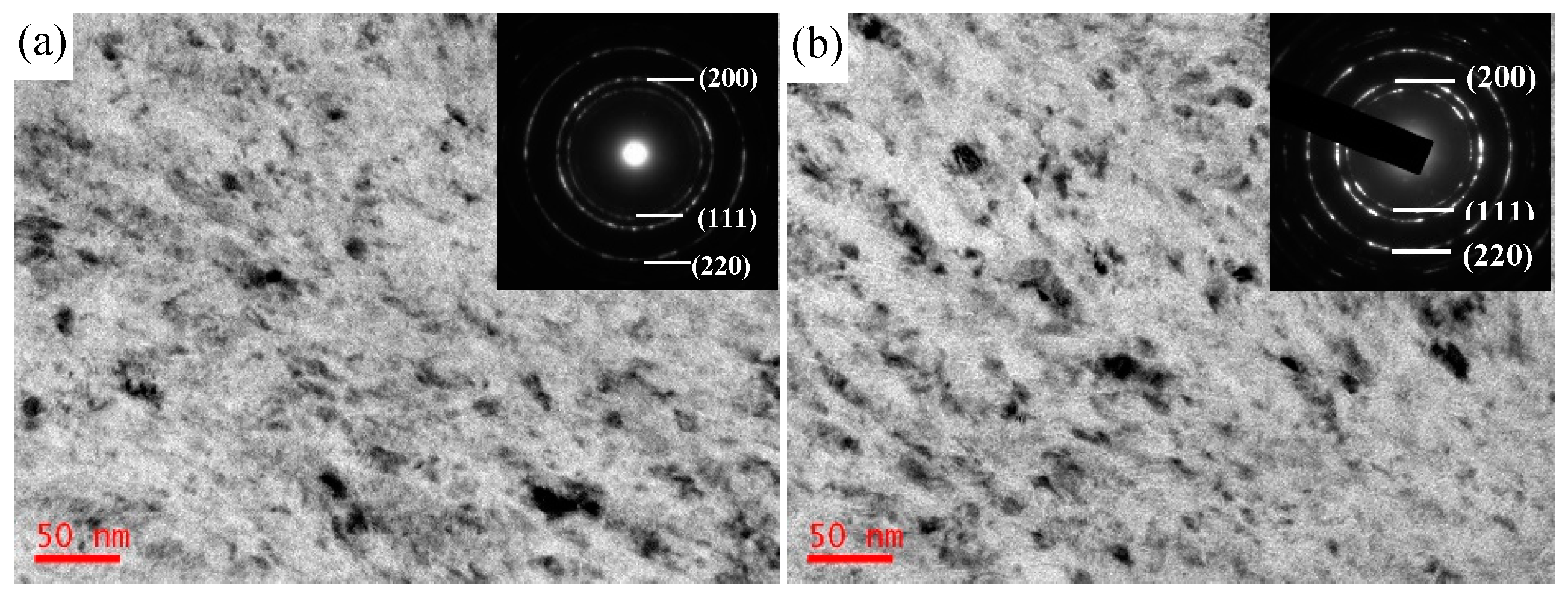 Coatings 09 00818 g003