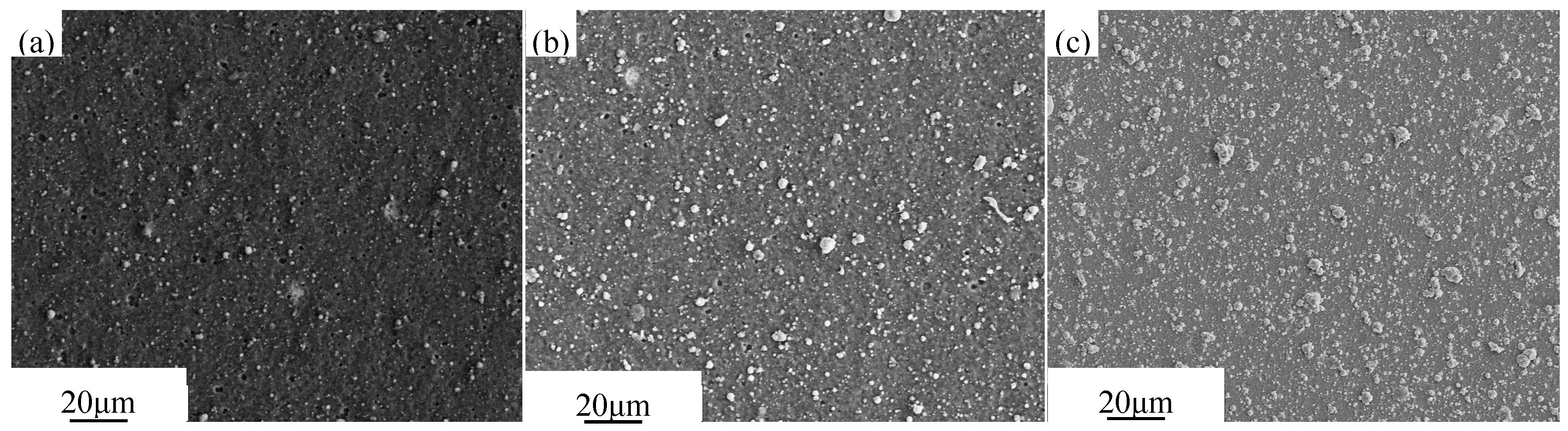 Coatings 09 00818 g004