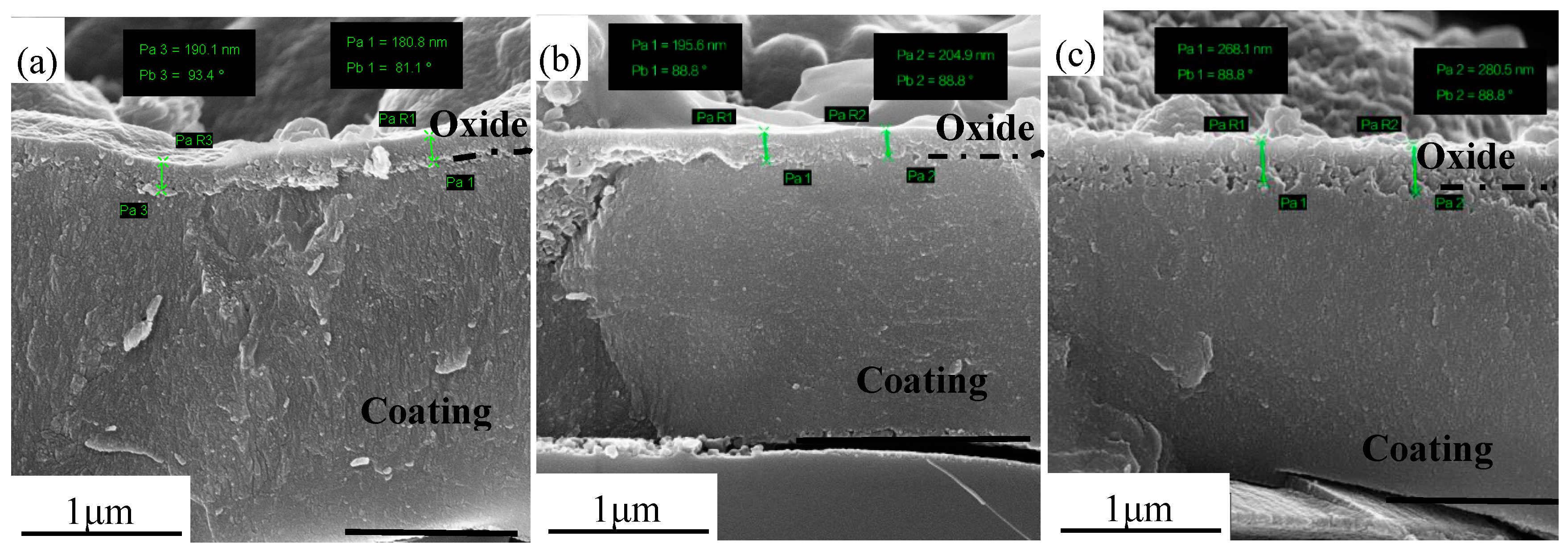 Coatings 09 00818 g006