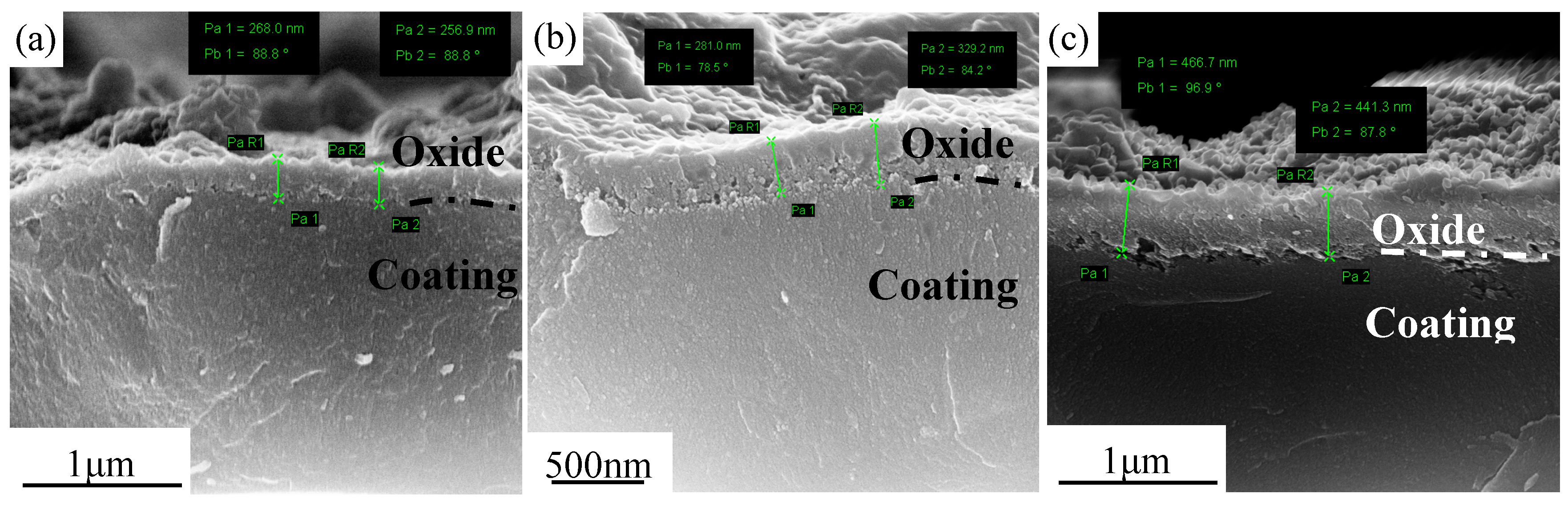 Coatings 09 00818 g007