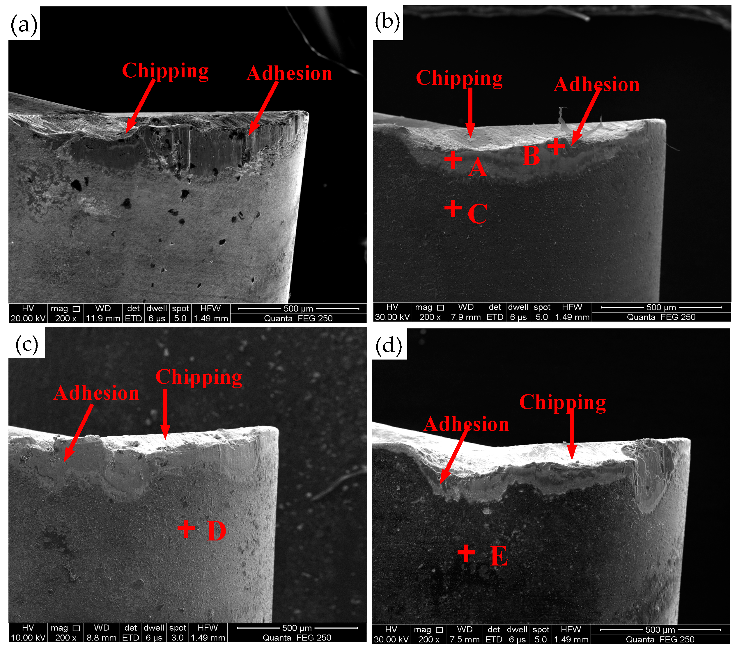 Coatings 09 00818 g010
