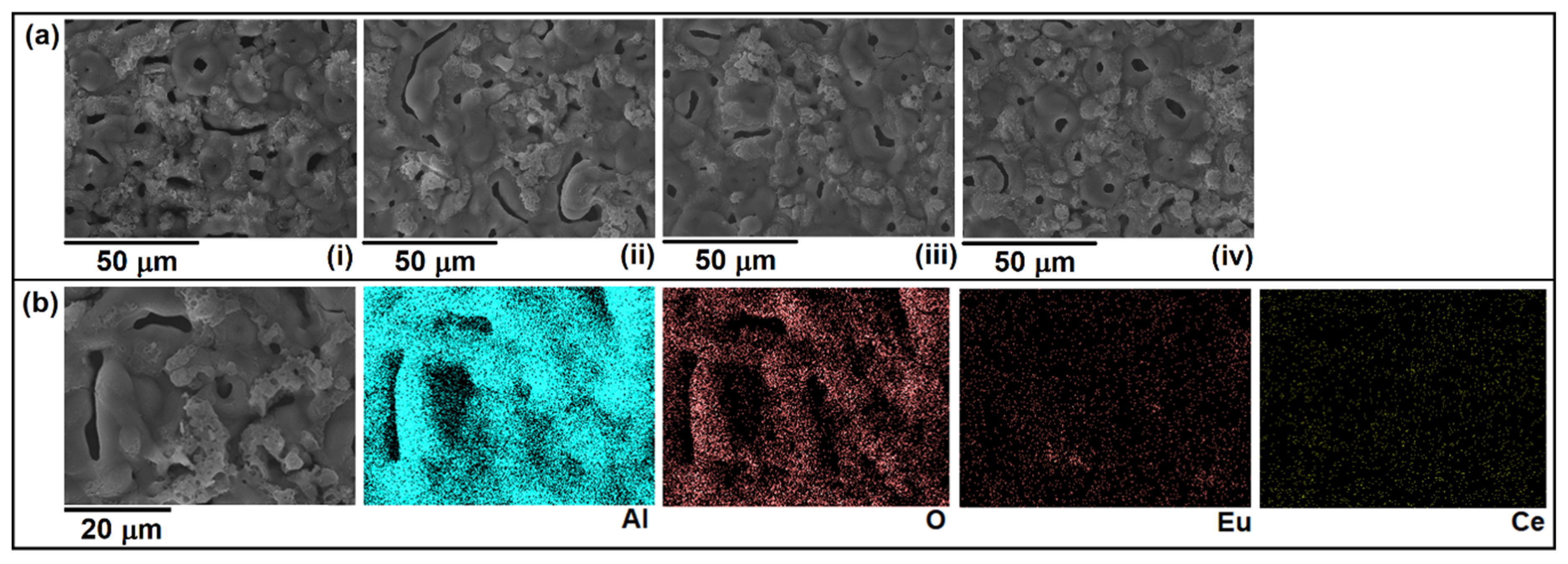 Coatings 09 00819 g001