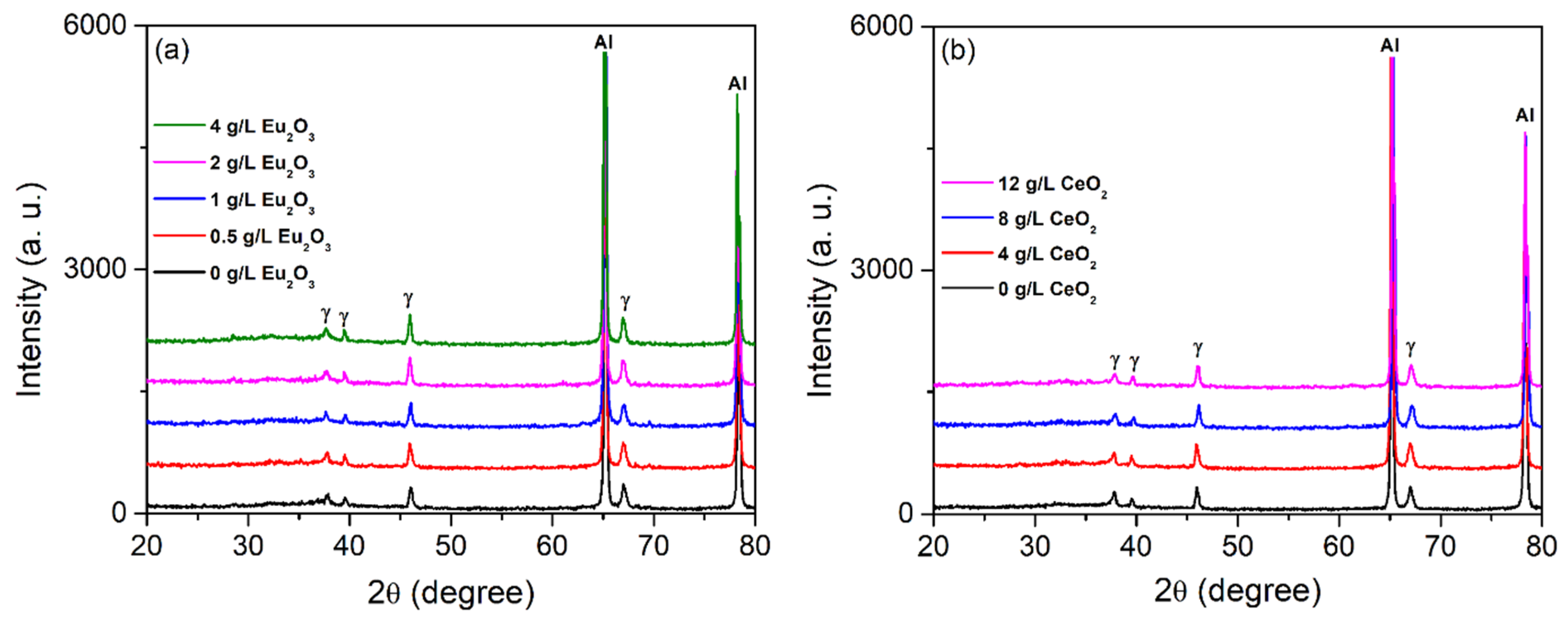 Coatings 09 00819 g002