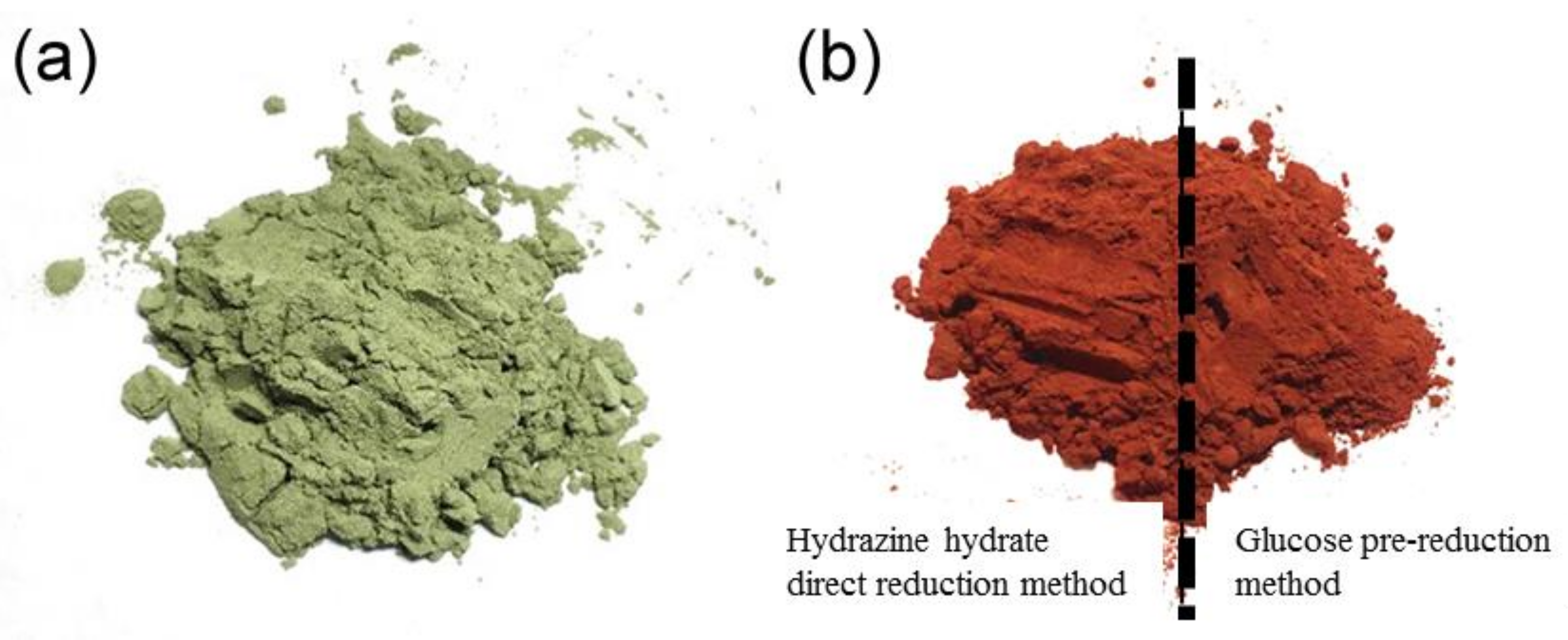 Coatings 09 00820 g001
