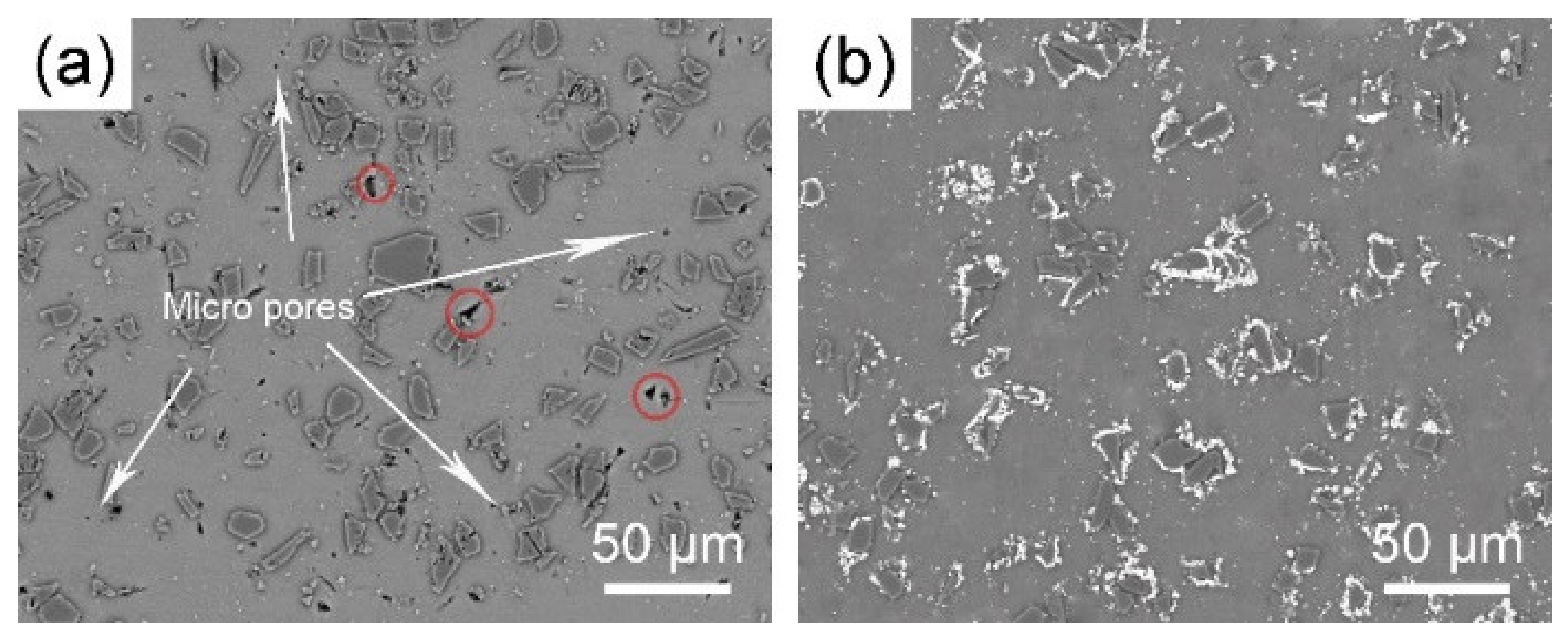 Coatings 09 00820 g004