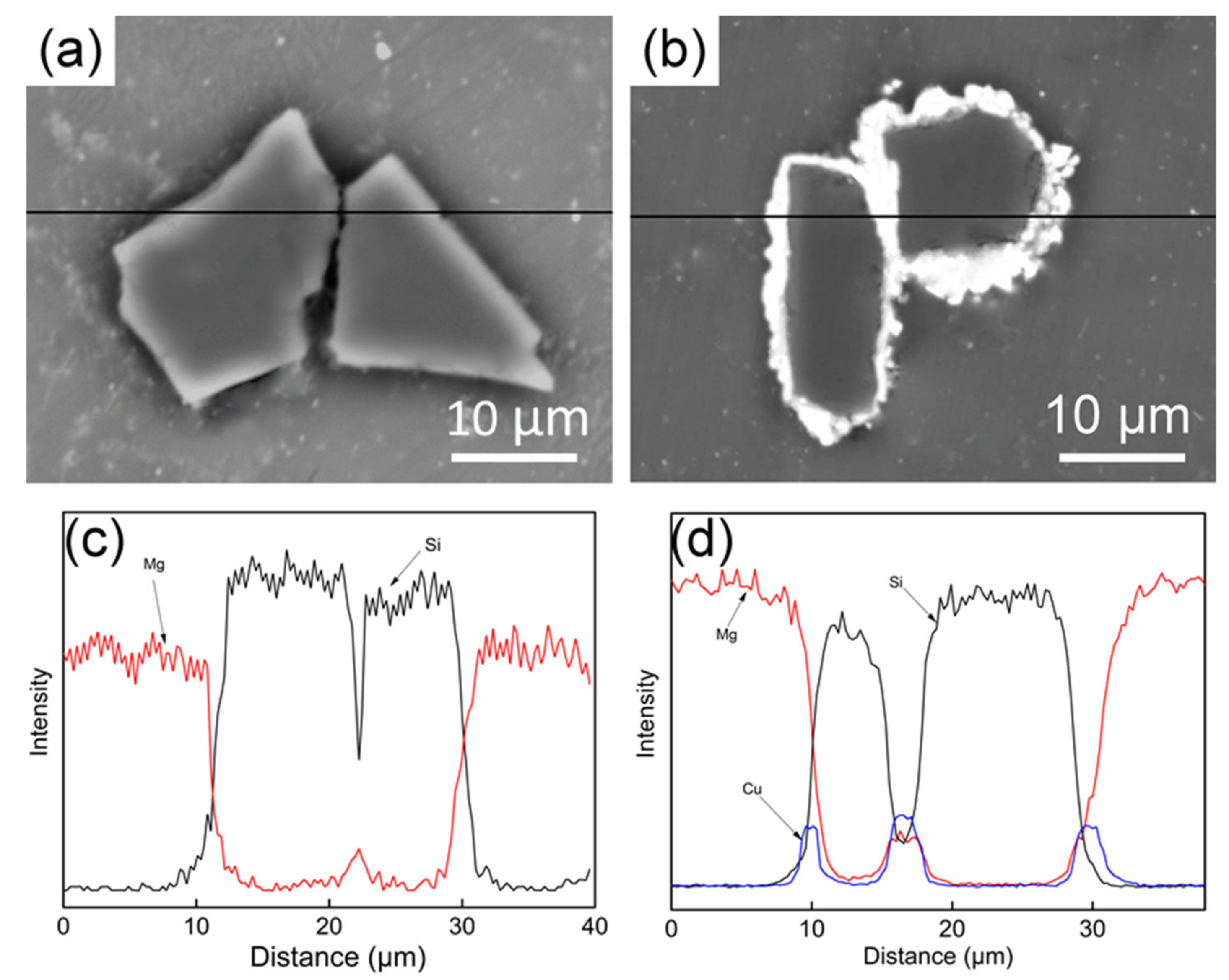 Coatings 09 00820 g005