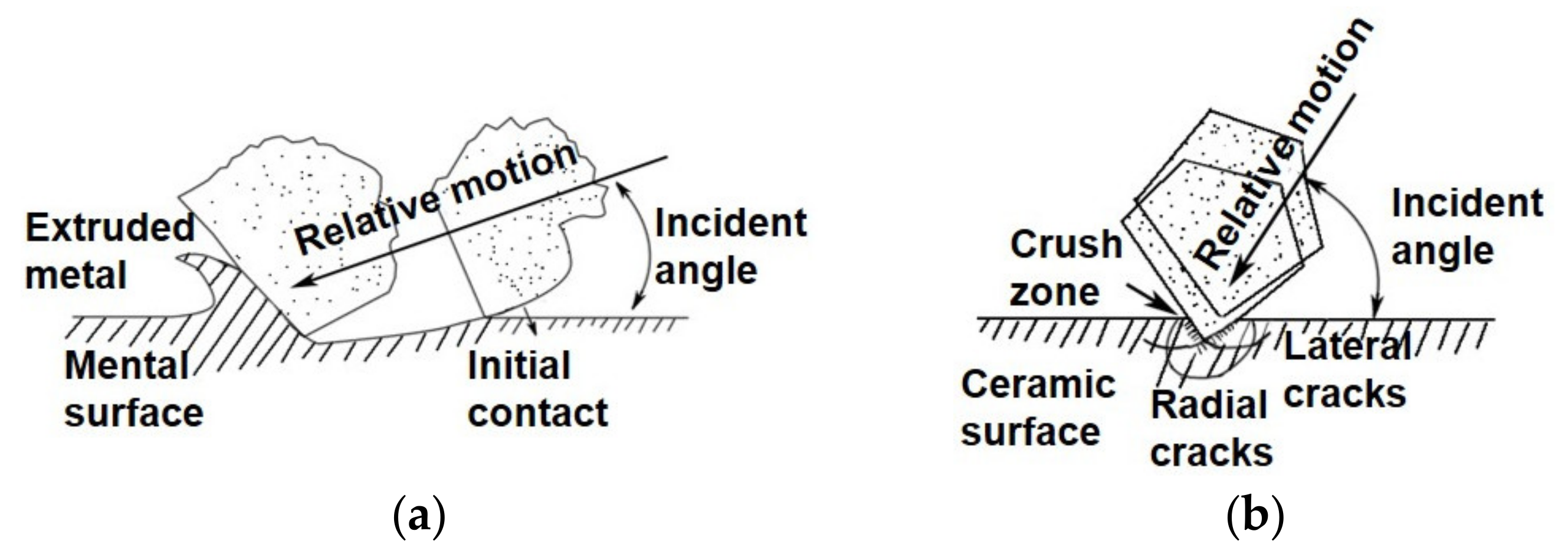 Coatings 09 00821 g002