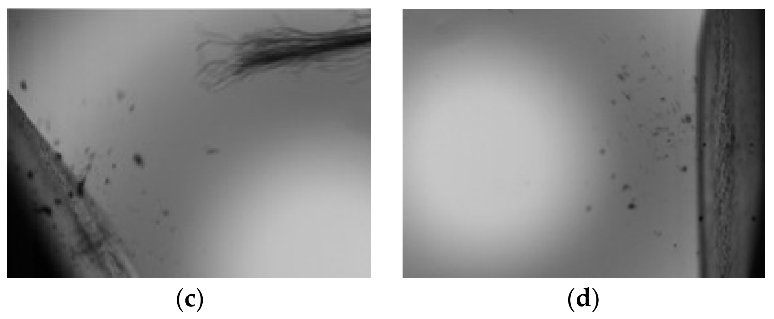 Coatings 09 00821 g003b