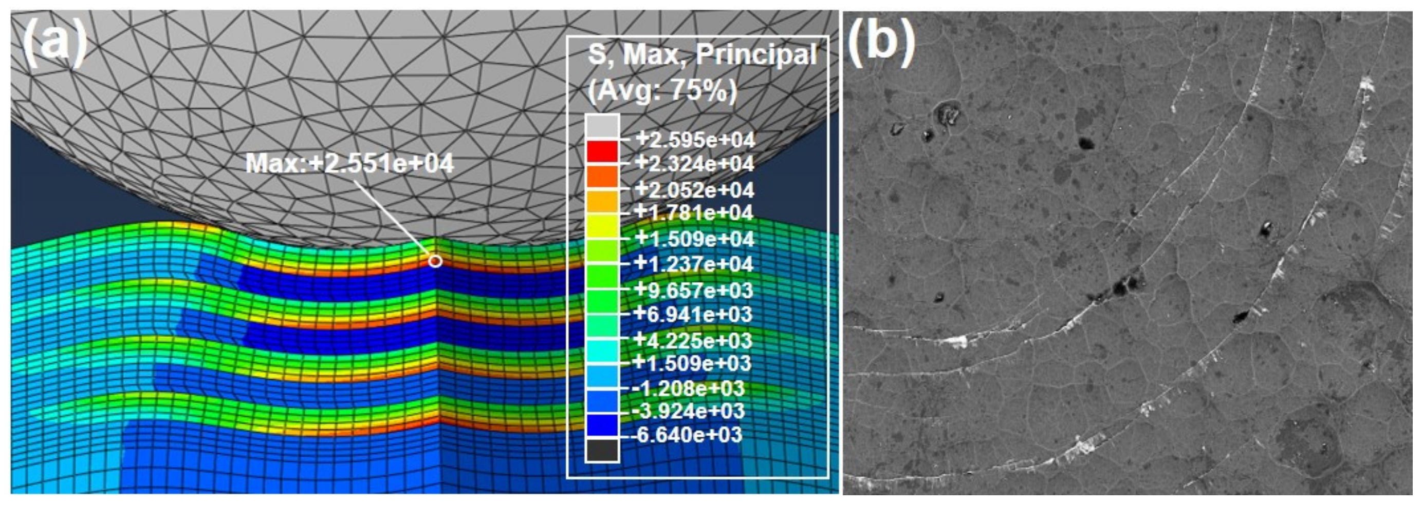 Coatings 09 00821 g004