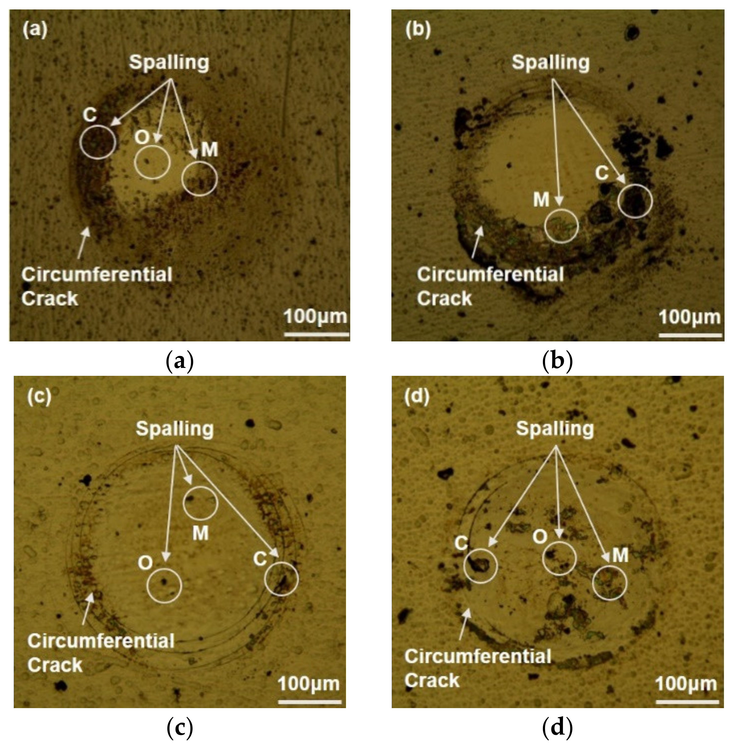 Coatings 09 00821 g007