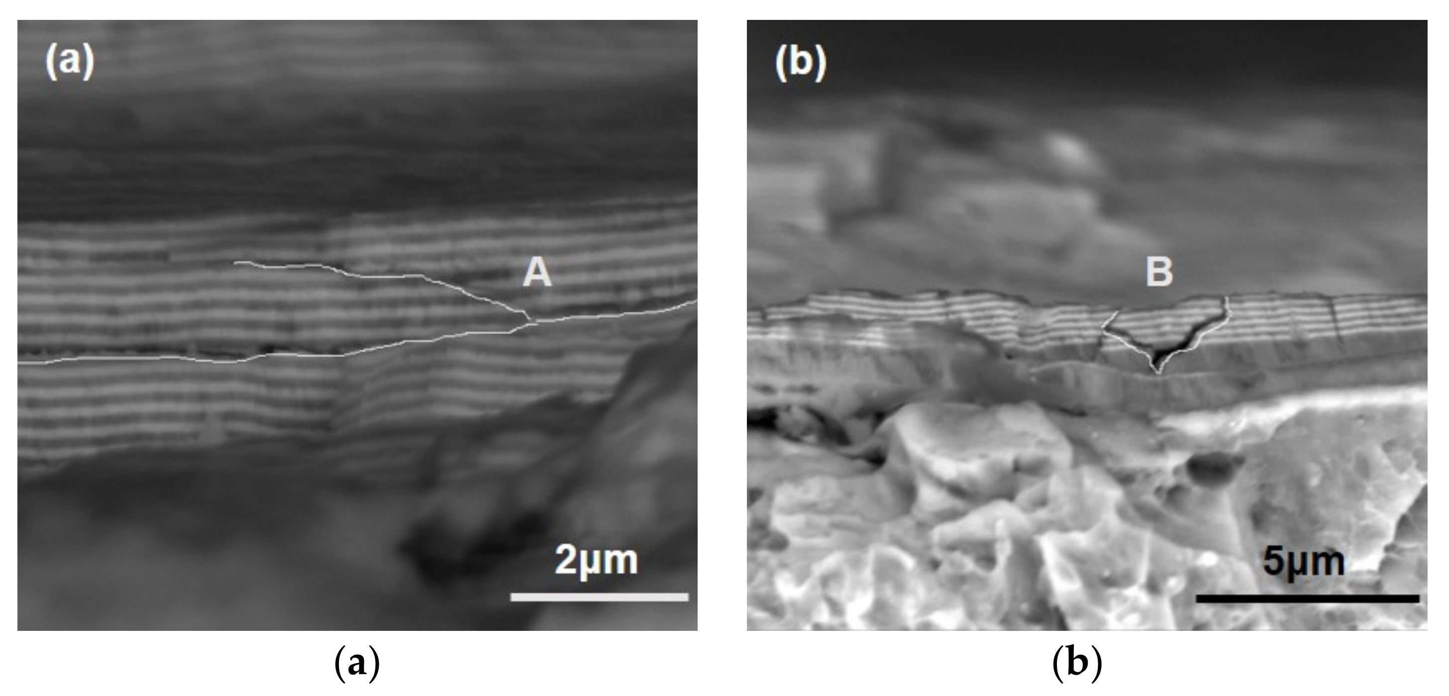 Coatings 09 00821 g014