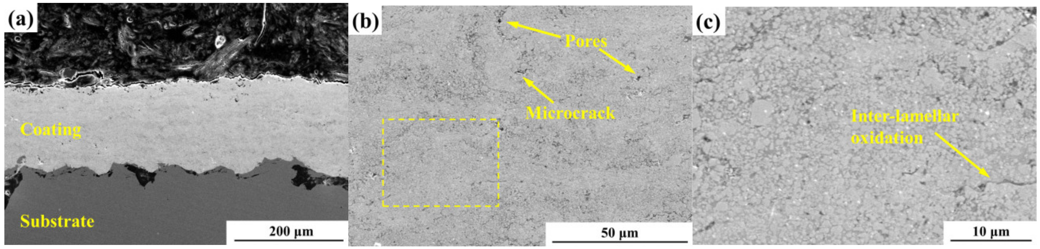 Coatings 09 00825 g001 Coatings 09 00825 g001