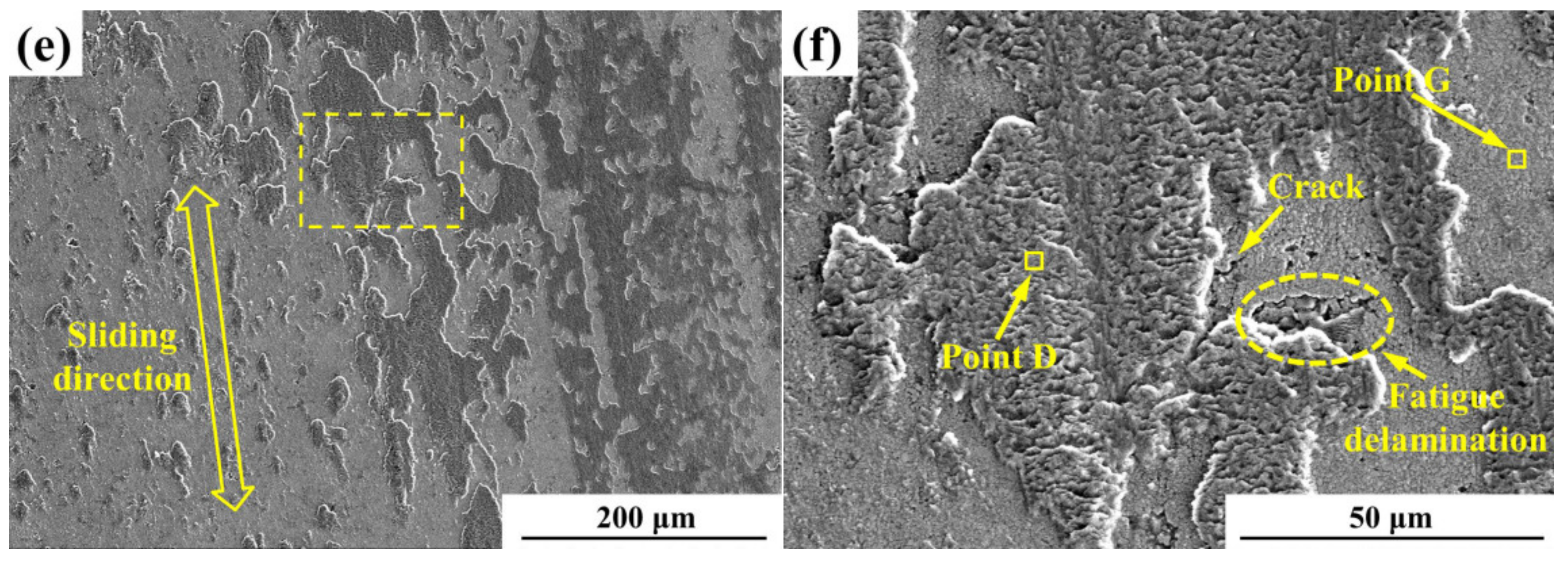 Coatings 09 00825 g005b Coatings 09 00825 g005b