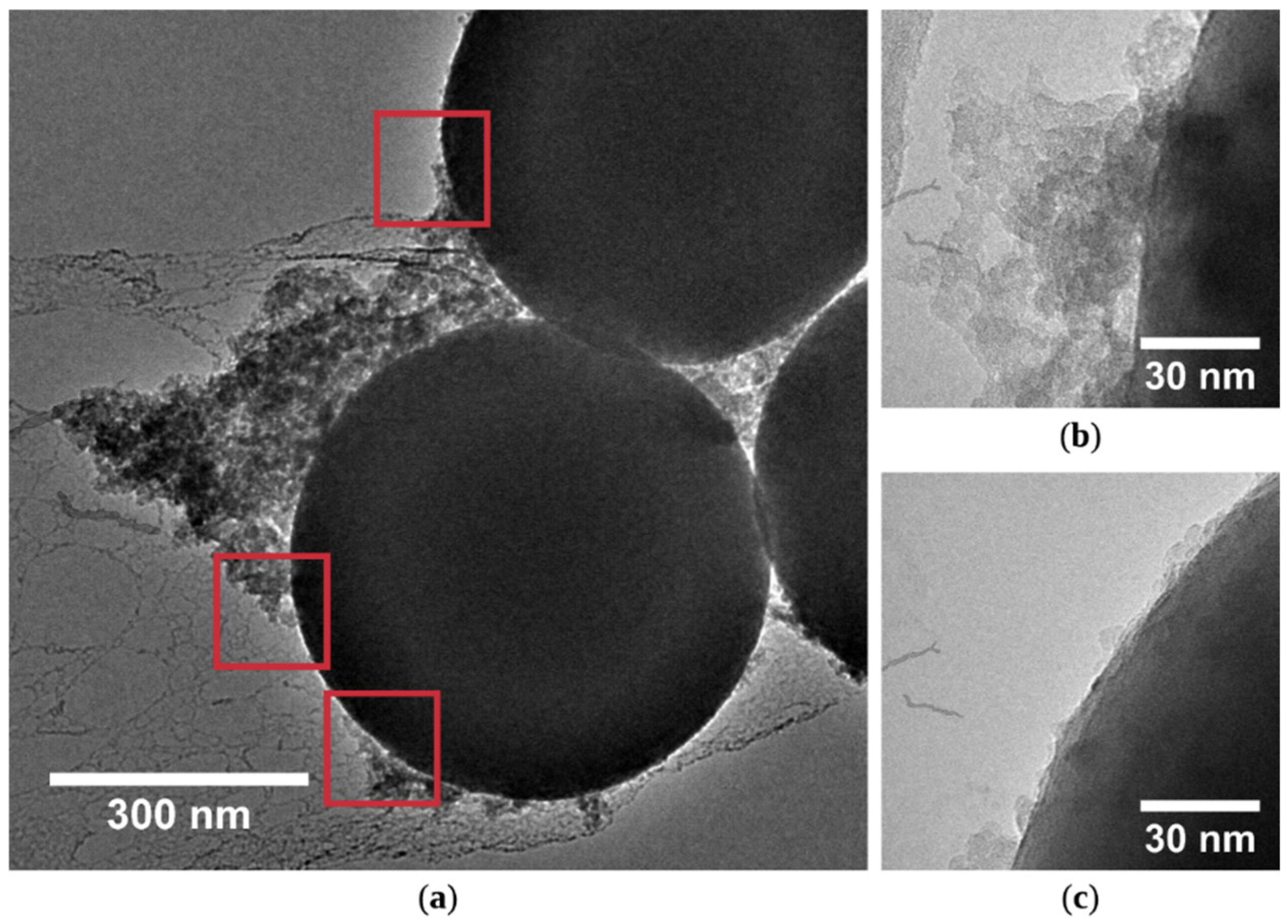 Coatings 09 00829 g002 Coatings 09 00829 g002