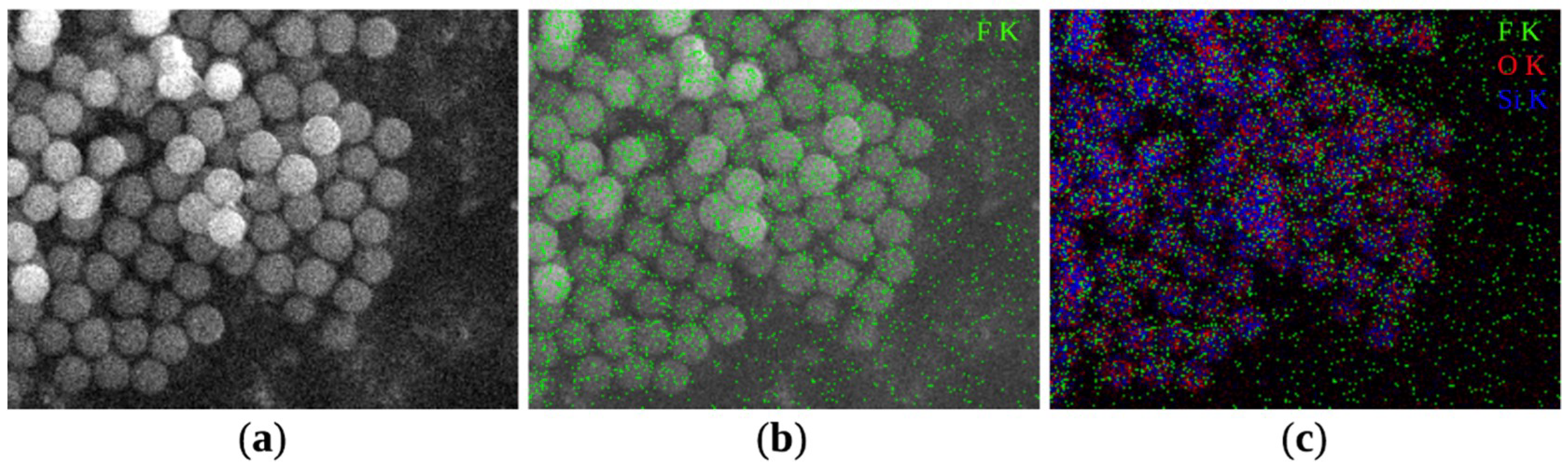 Coatings 09 00829 g003 Coatings 09 00829 g003