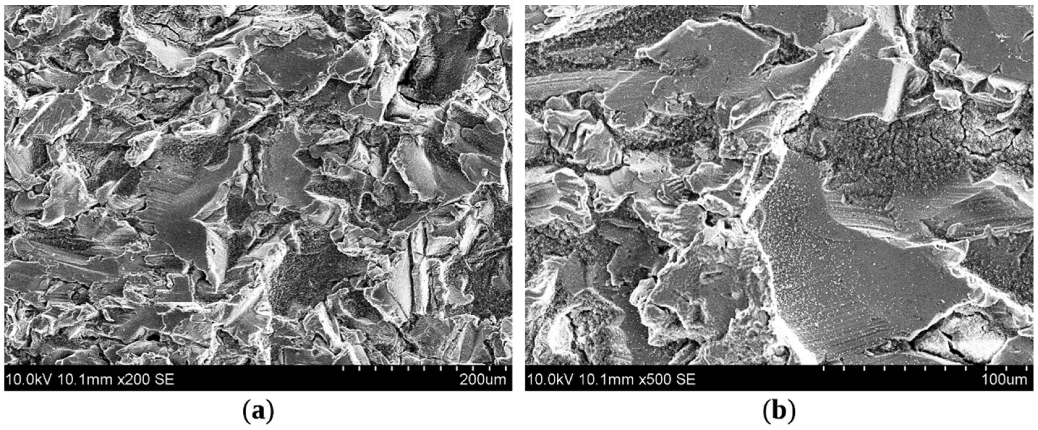 Coatings 09 00829 g006 Coatings 09 00829 g006