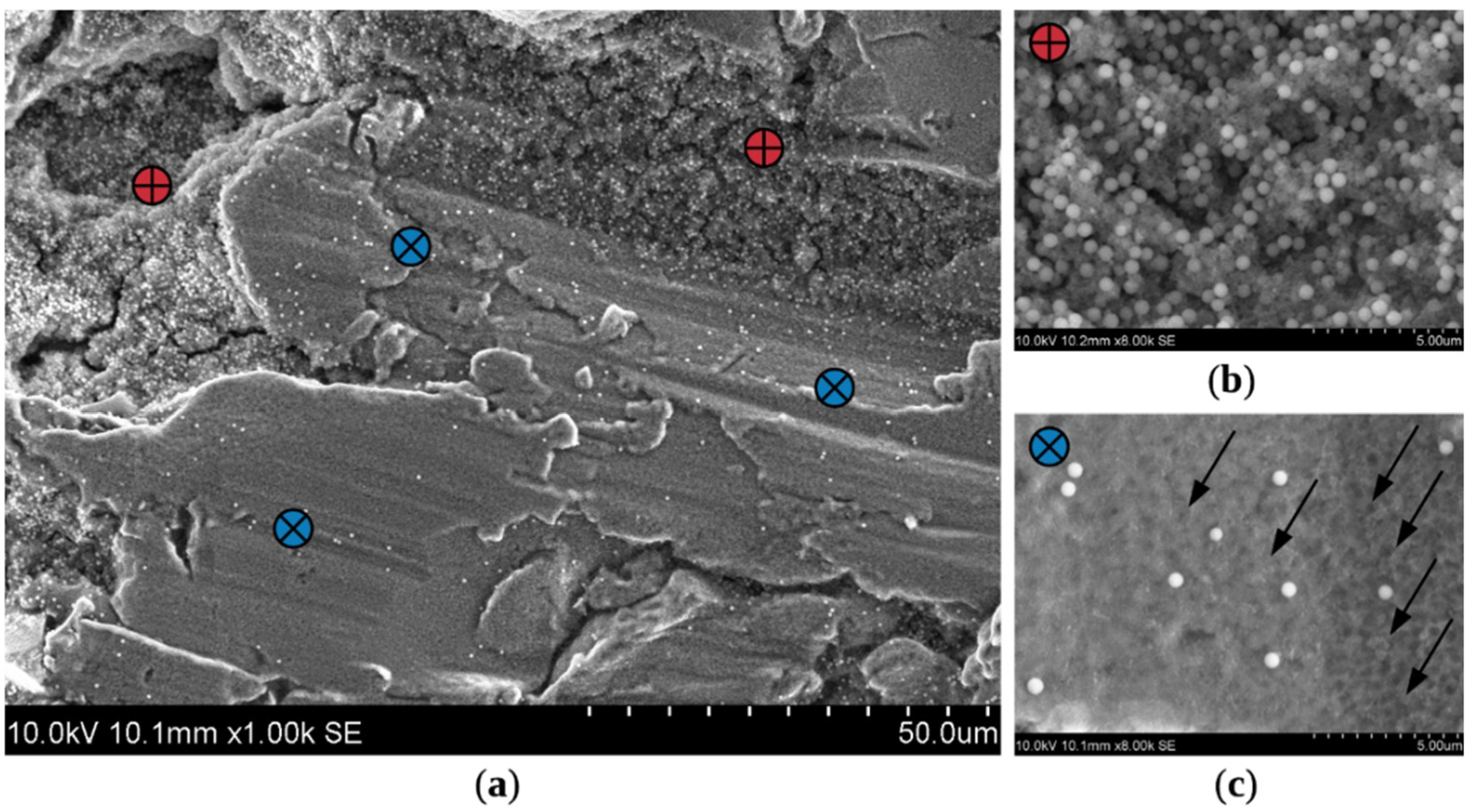 Coatings 09 00829 g007 Coatings 09 00829 g007