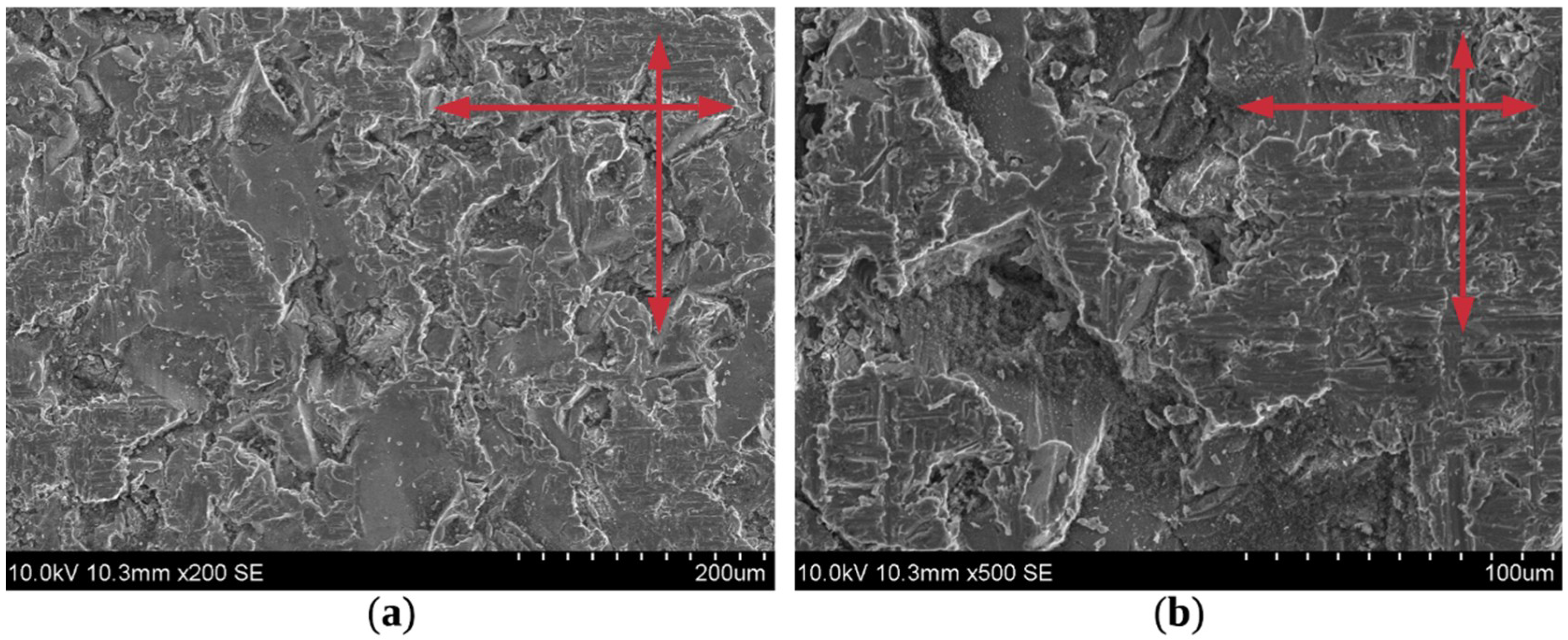 Coatings 09 00829 g010 Coatings 09 00829 g010
