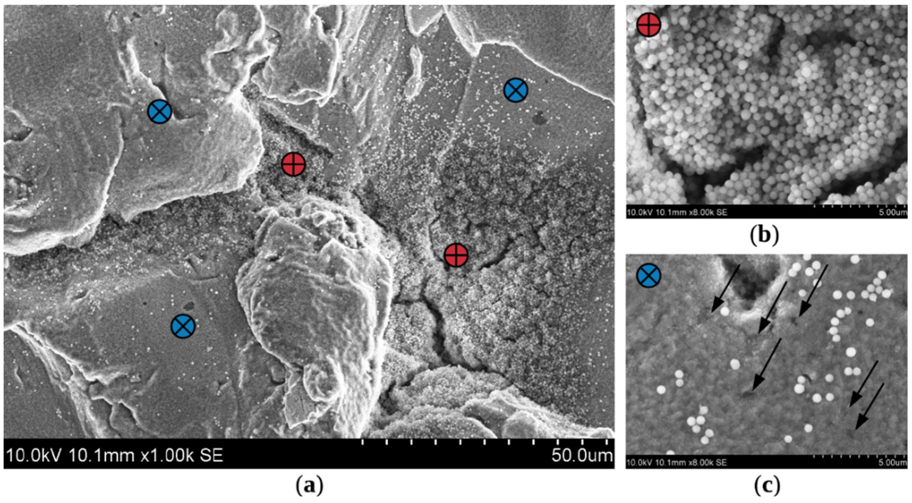 Coatings 09 00829 g011 Coatings 09 00829 g011