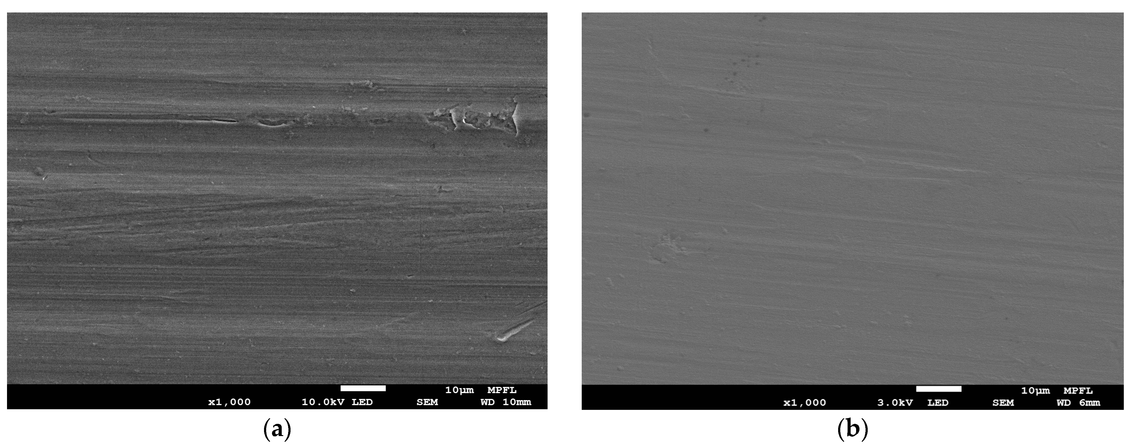 Coatings 09 00839 g004