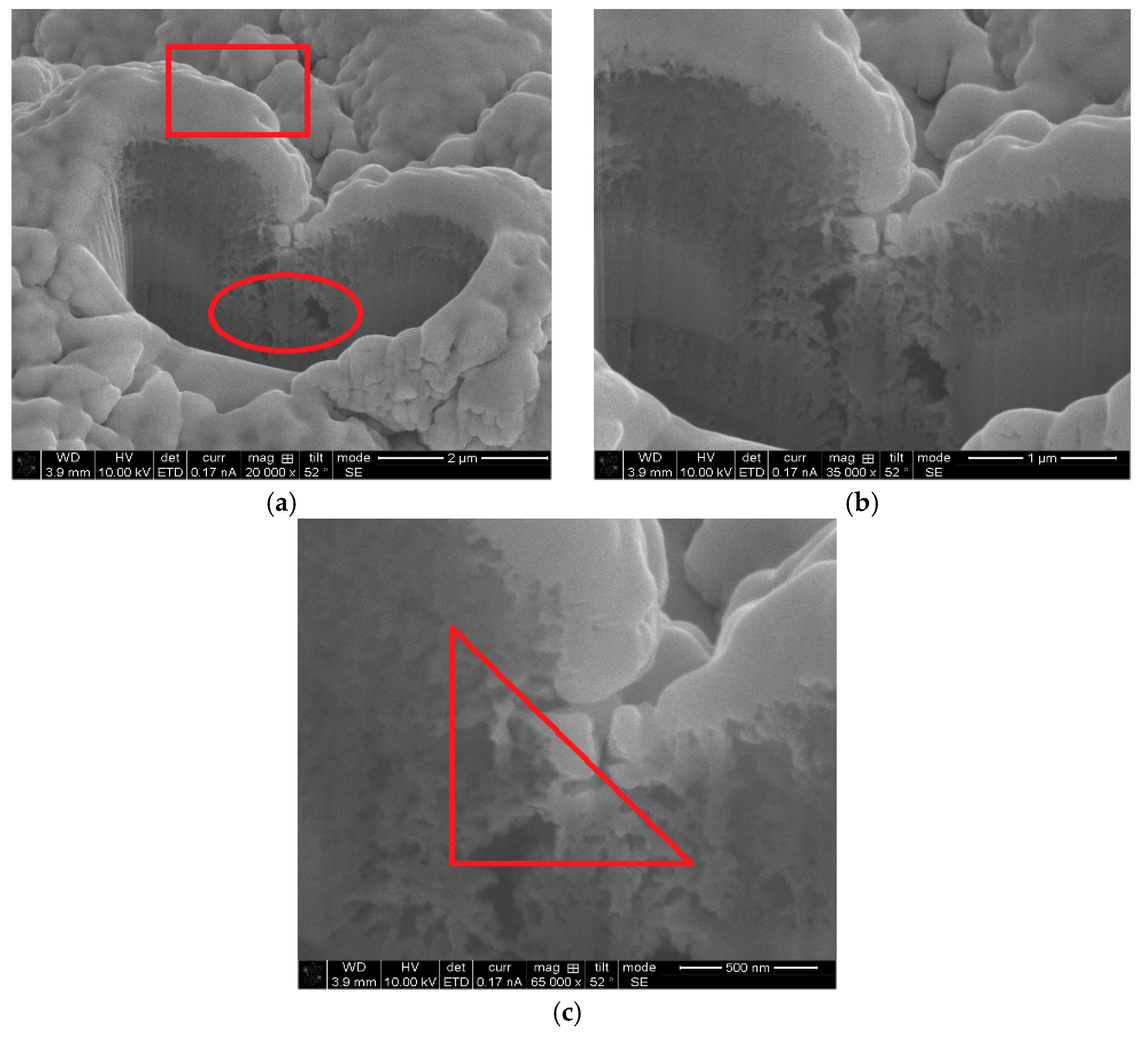 Coatings 09 00839 g005
