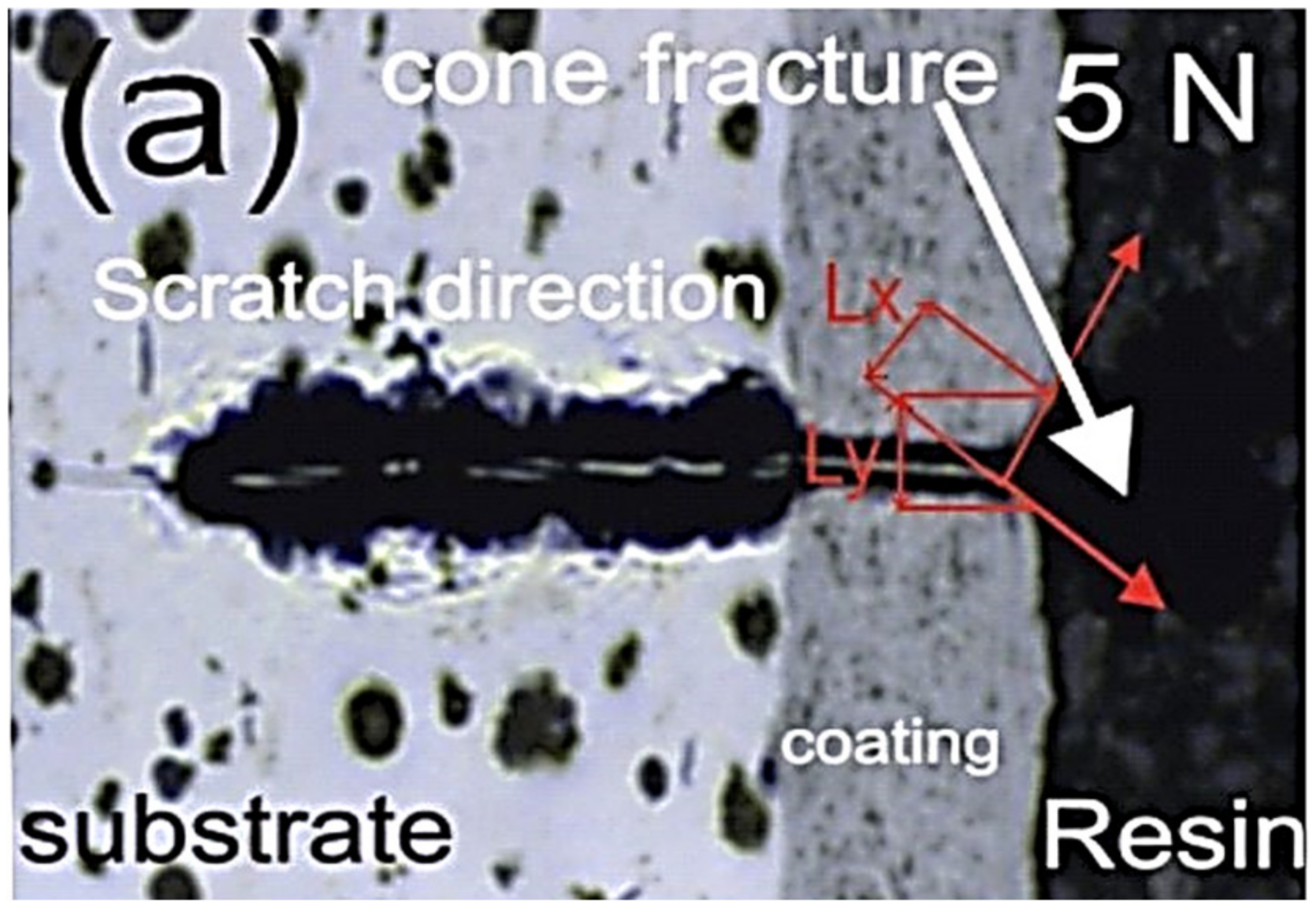 Coatings 09 00840 g001 Coatings 09 00840 g001