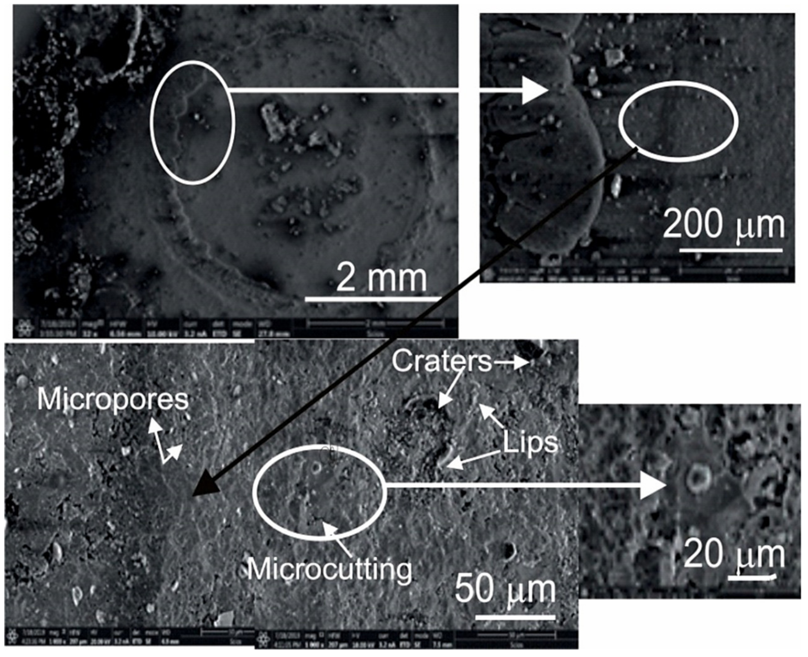 Coatings 09 00840 g012 Coatings 09 00840 g012