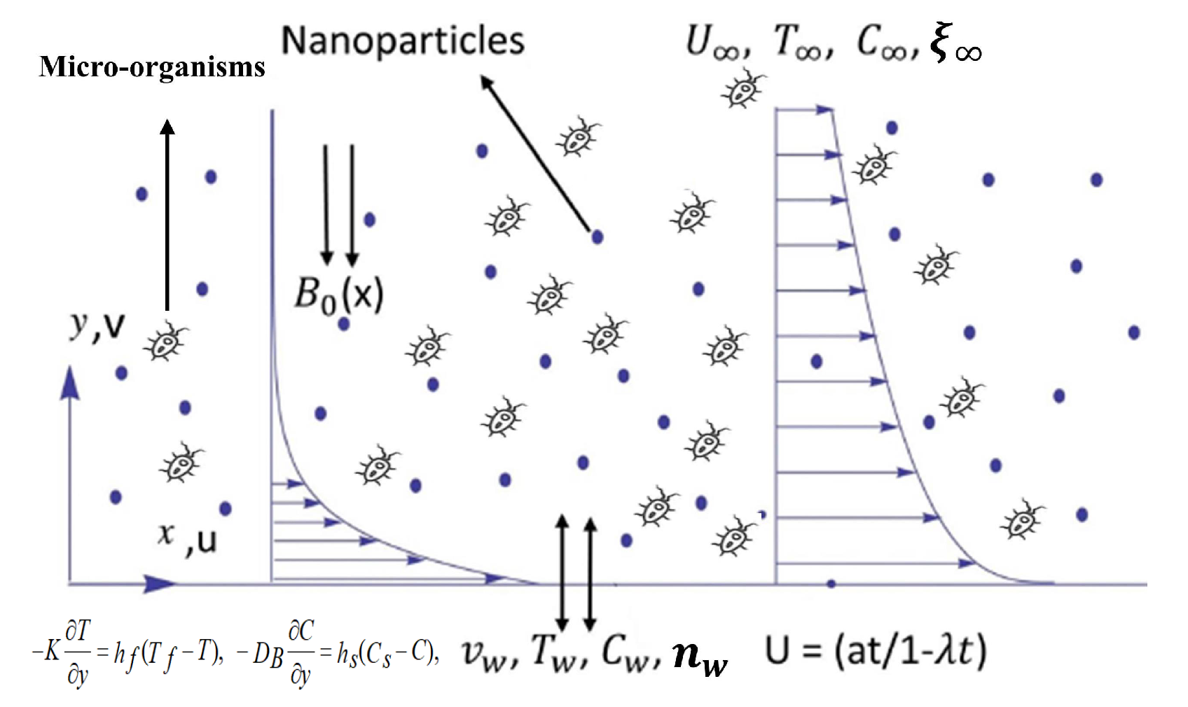 Coatings 09 00842 g001