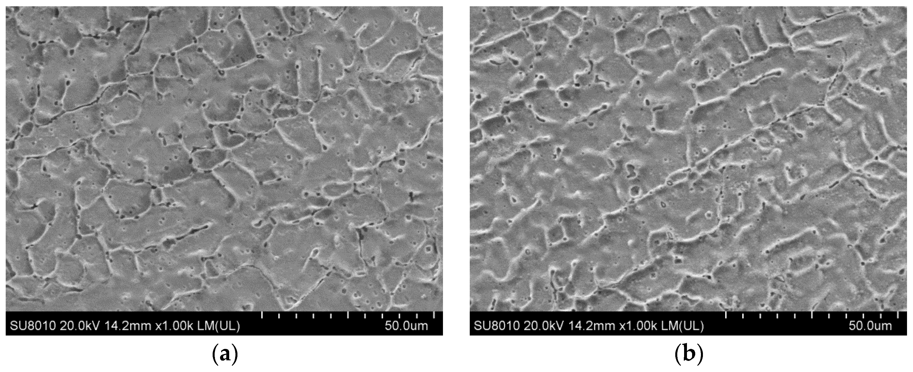 Coatings 09 00848 g006a Coatings 09 00848 g006a