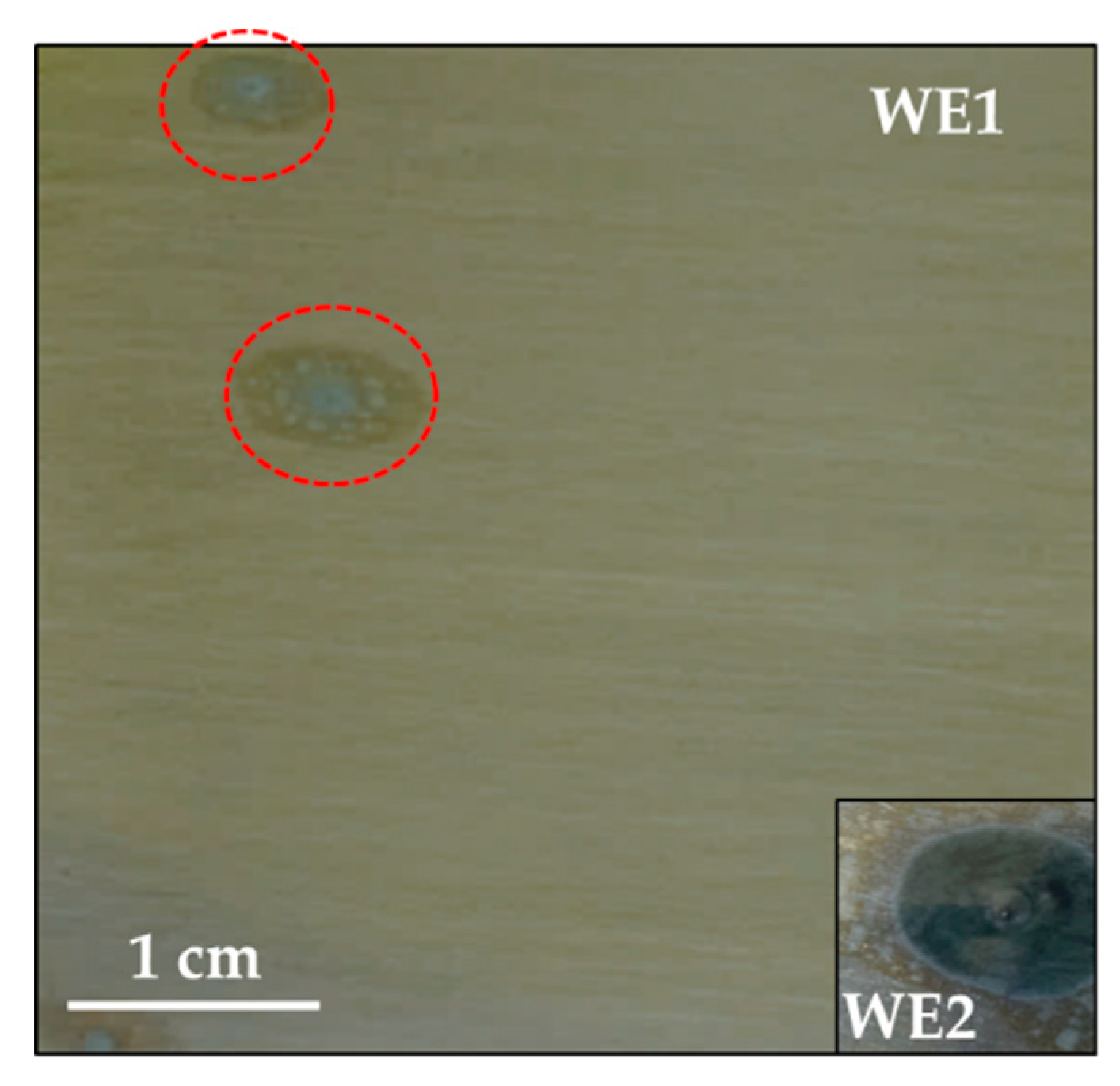 Coatings 09 00852 g005