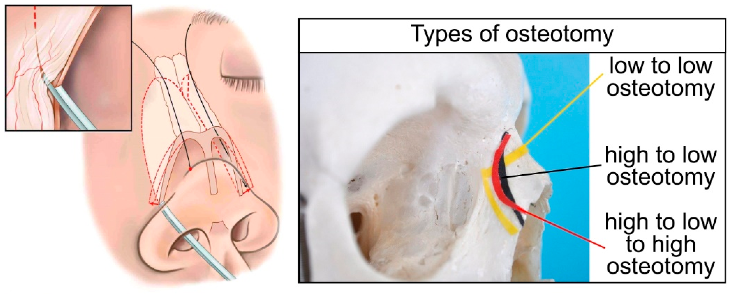 Coatings 09 00855 g001 Coatings 09 00855 g001