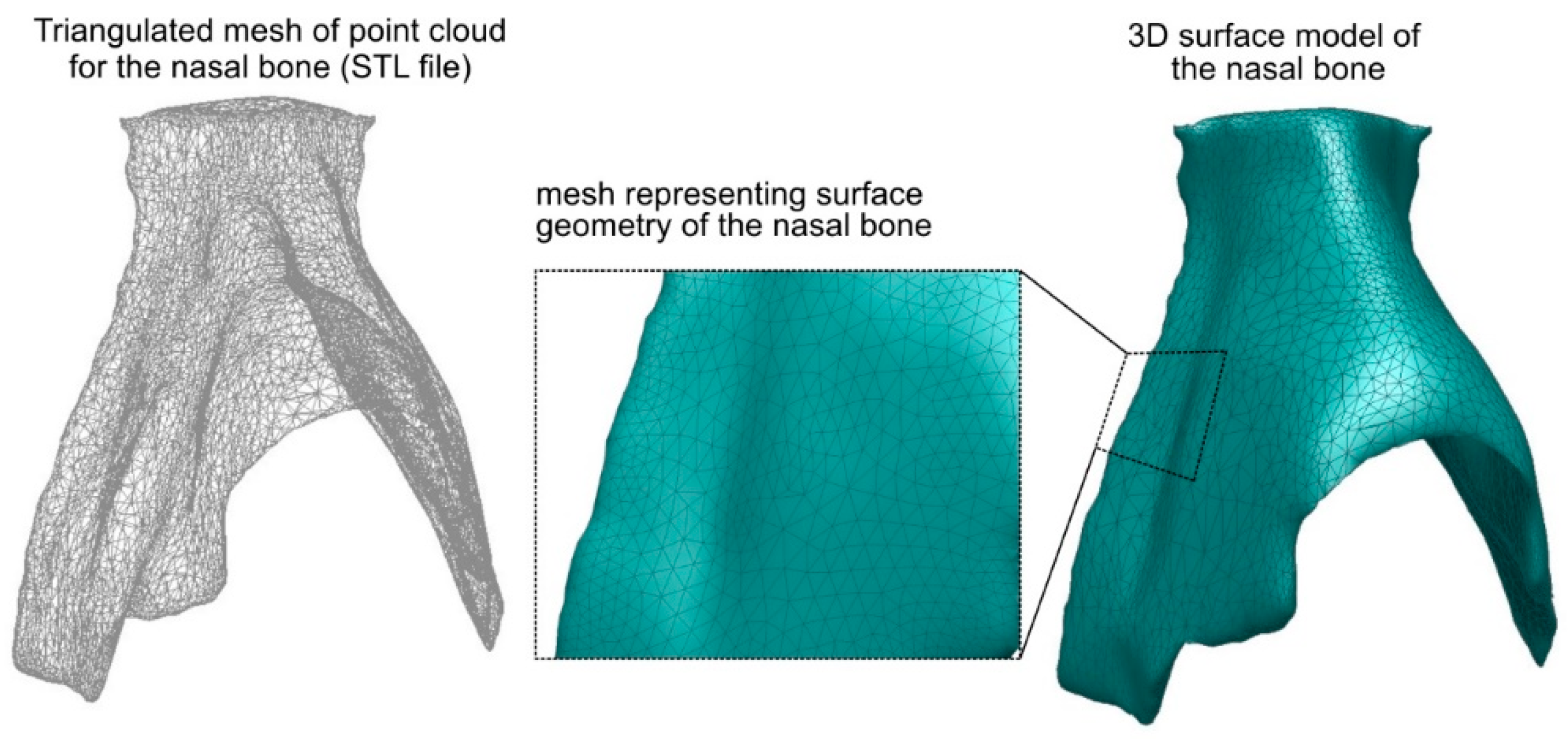 Coatings 09 00855 g004 Coatings 09 00855 g004