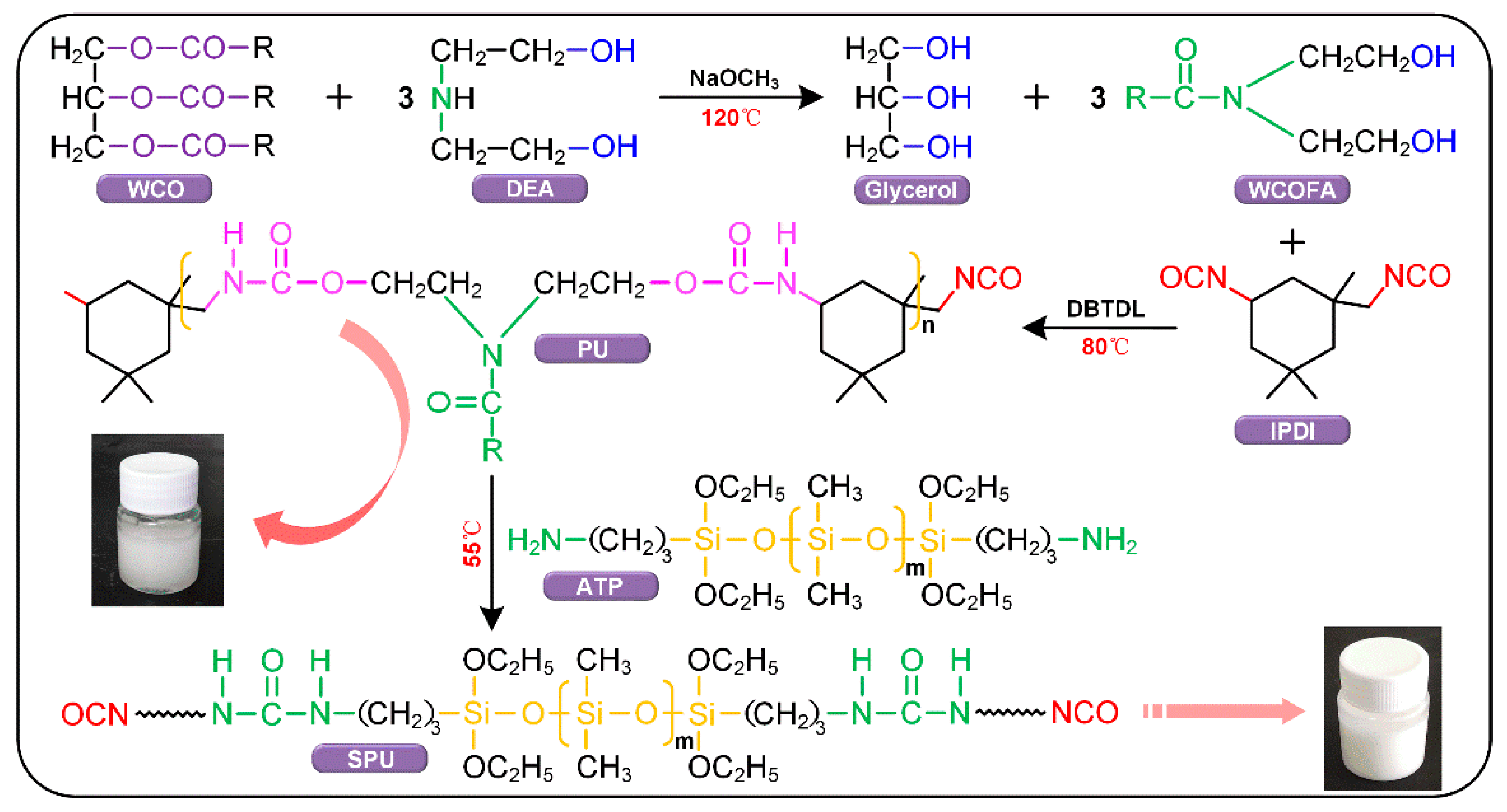 Coatings 09 00861 g001