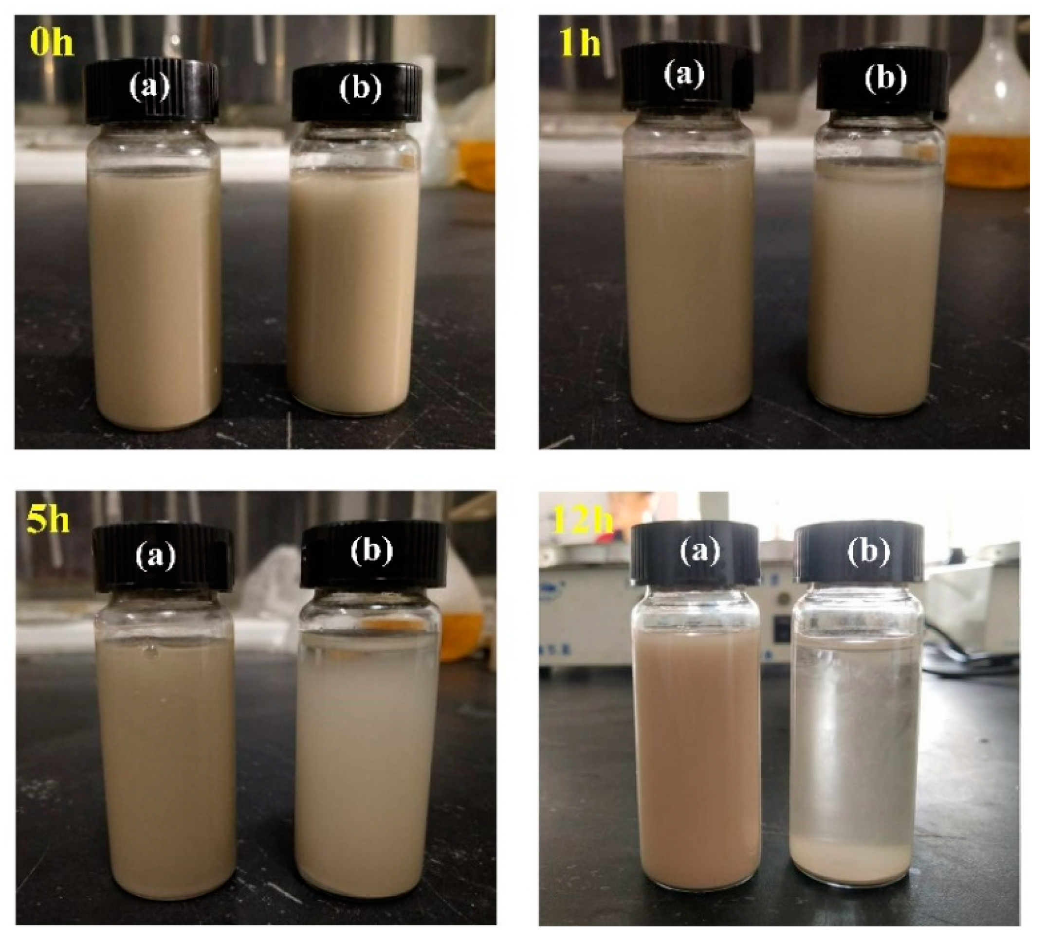 Coatings 09 00861 g008