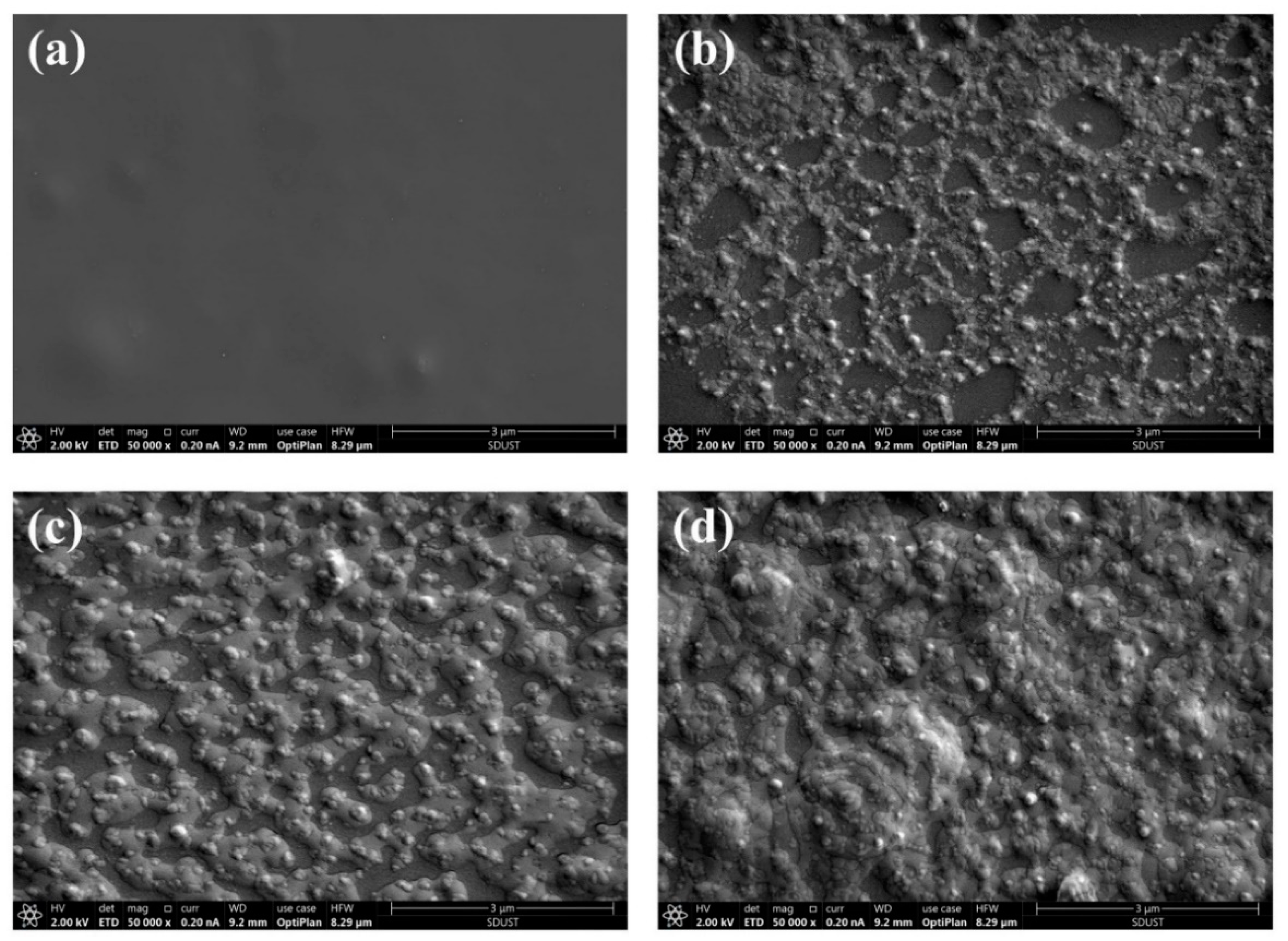 Coatings 09 00861 g011