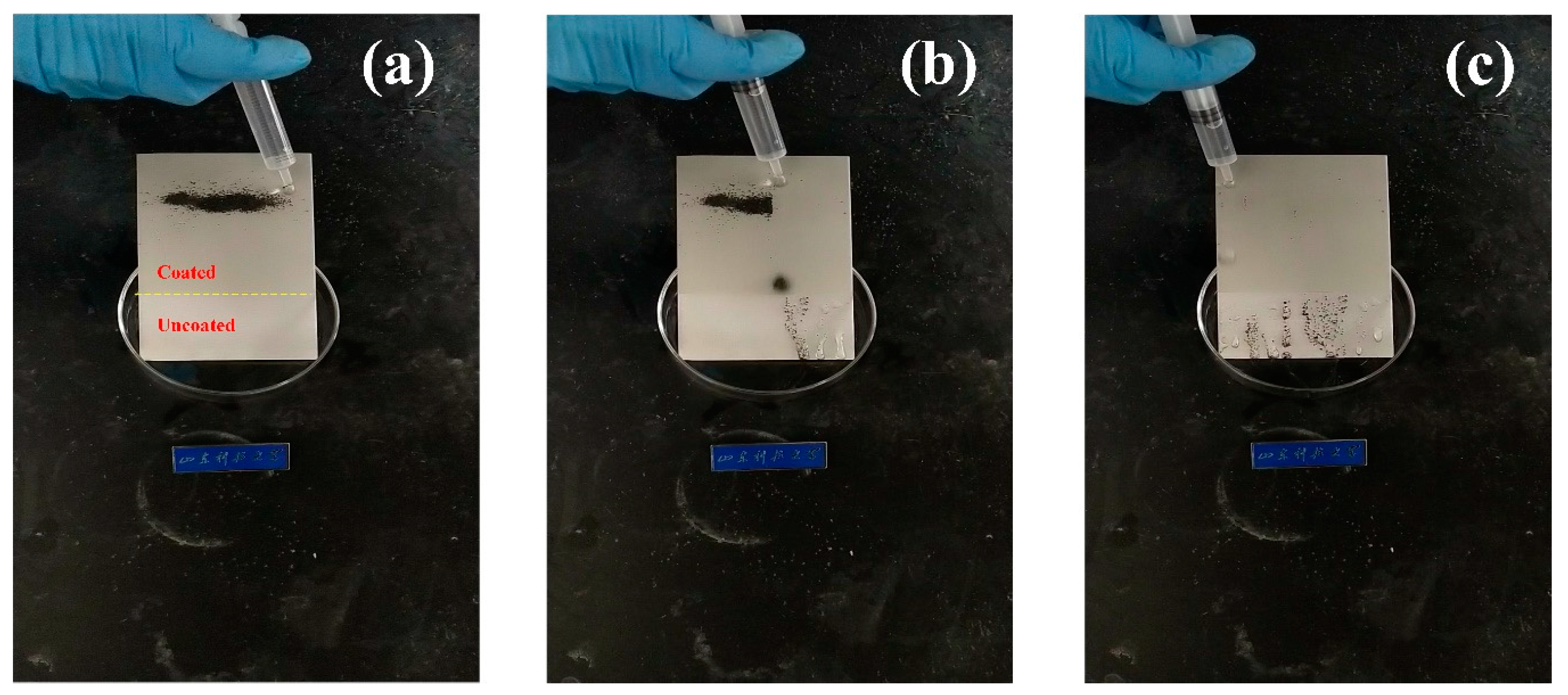 Coatings 09 00861 g013