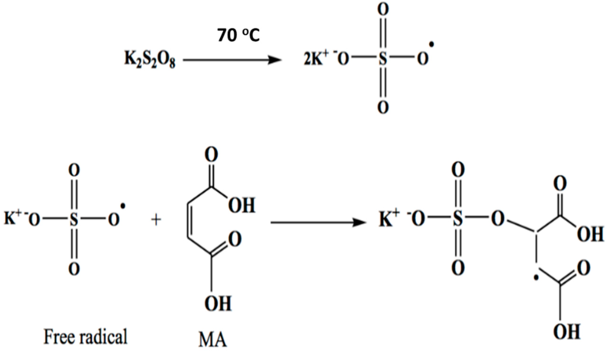 Coatings 09 00862 g001