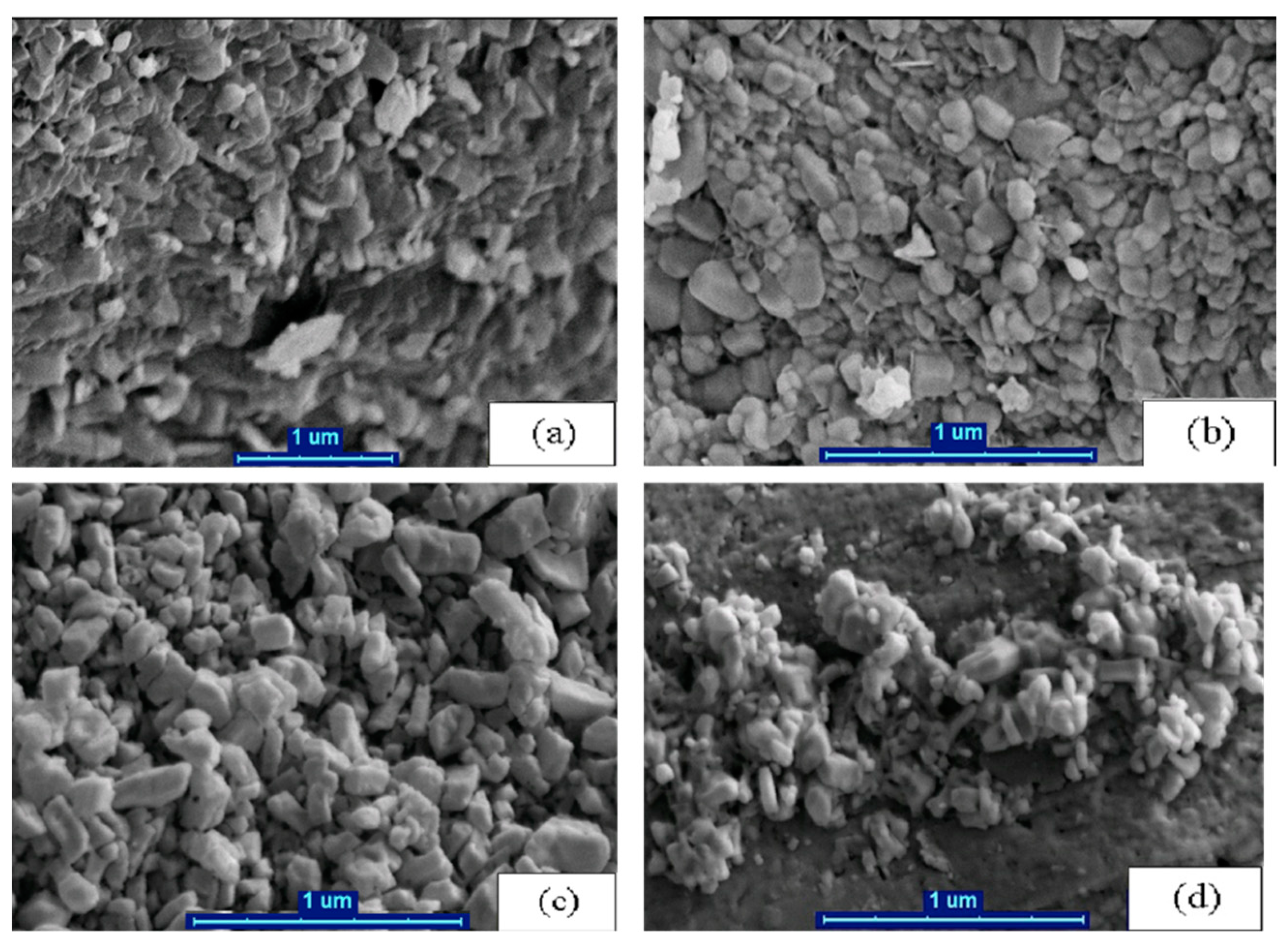 Coatings 09 00862 g004