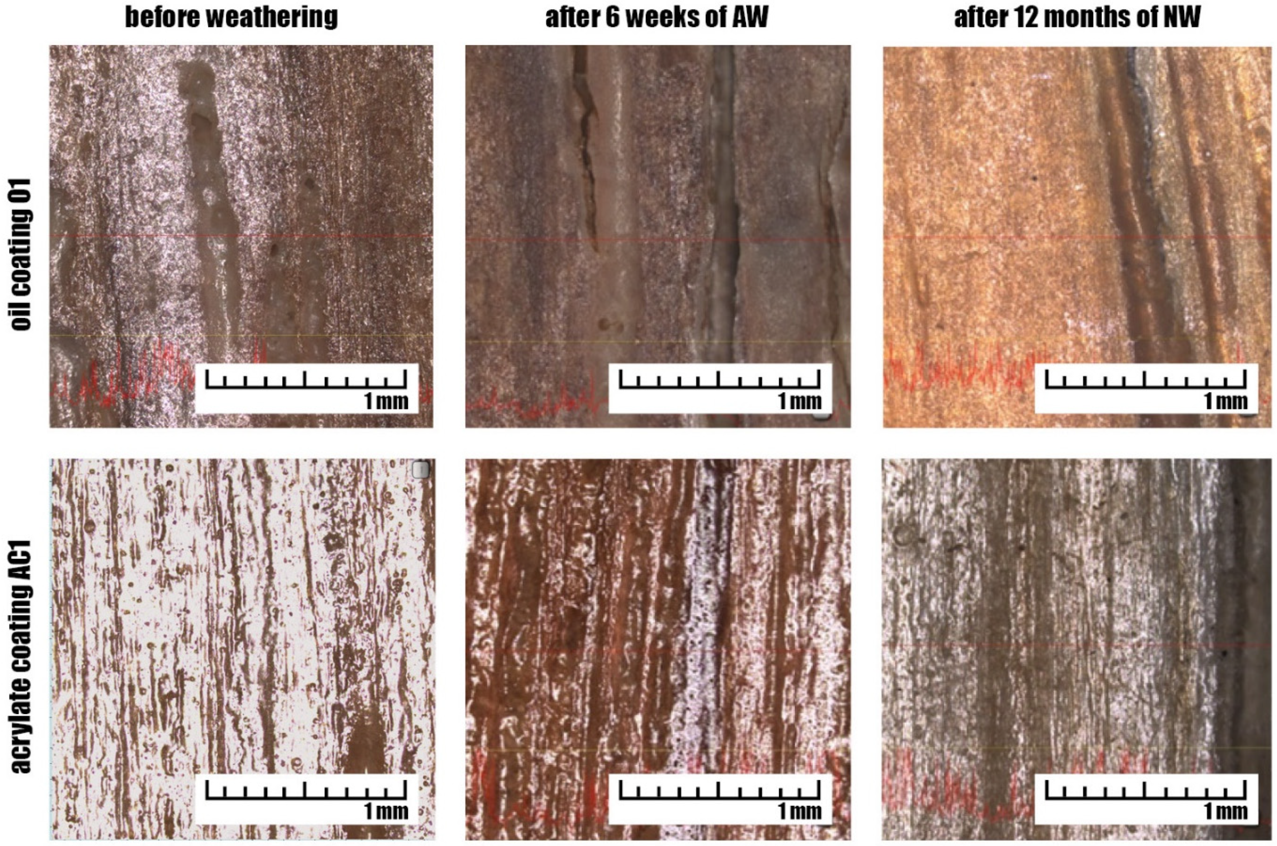 Coatings 09 00864 g007