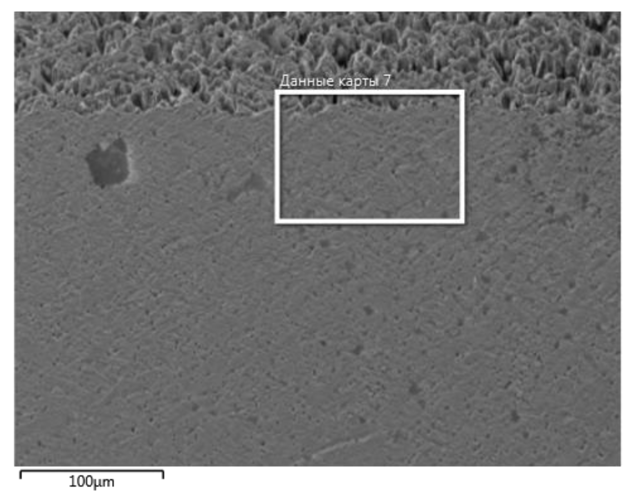 Coatings 10 00007 g009