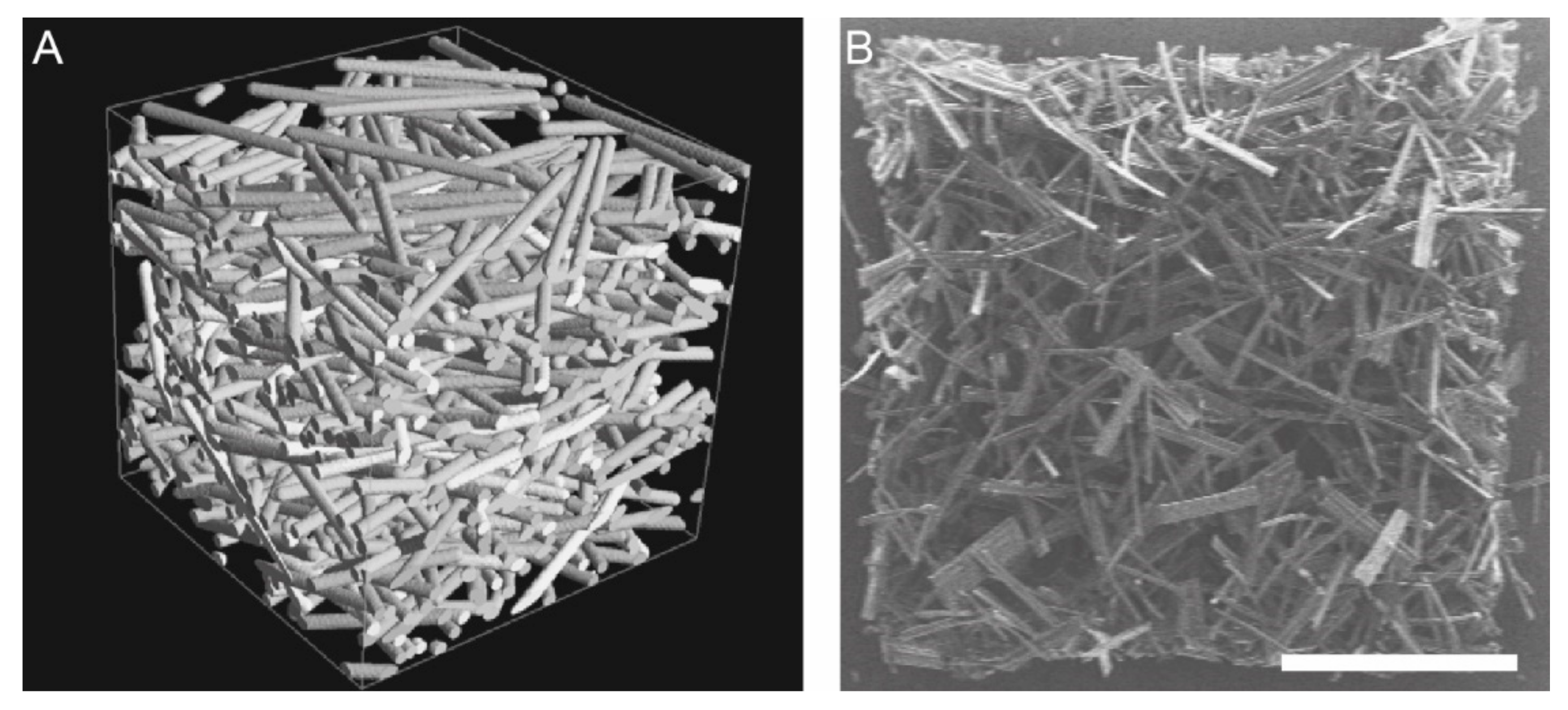 Coatings 10 00008 g001 Coatings 10 00008 g001