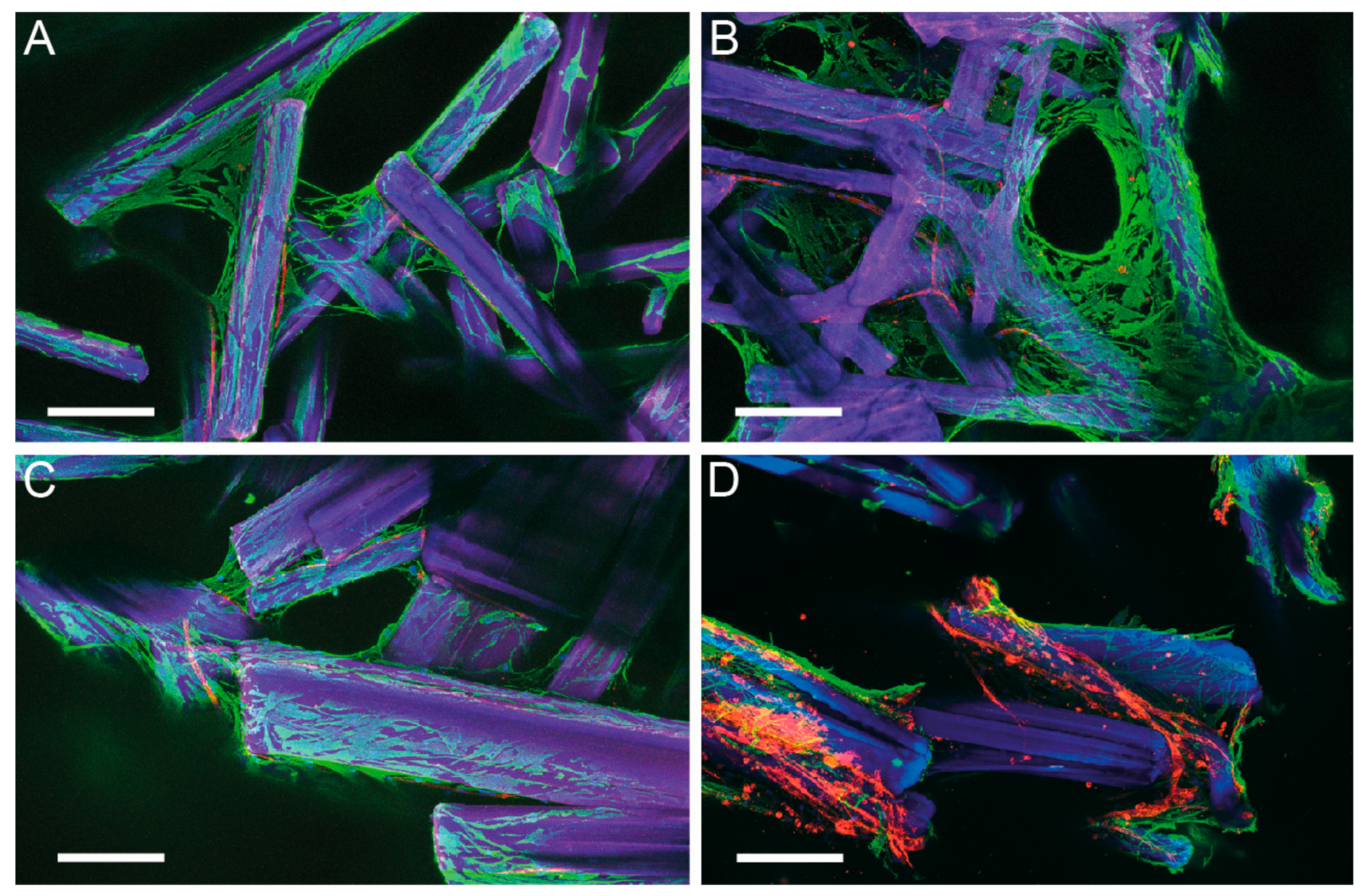 Coatings 10 00008 g007 Coatings 10 00008 g007