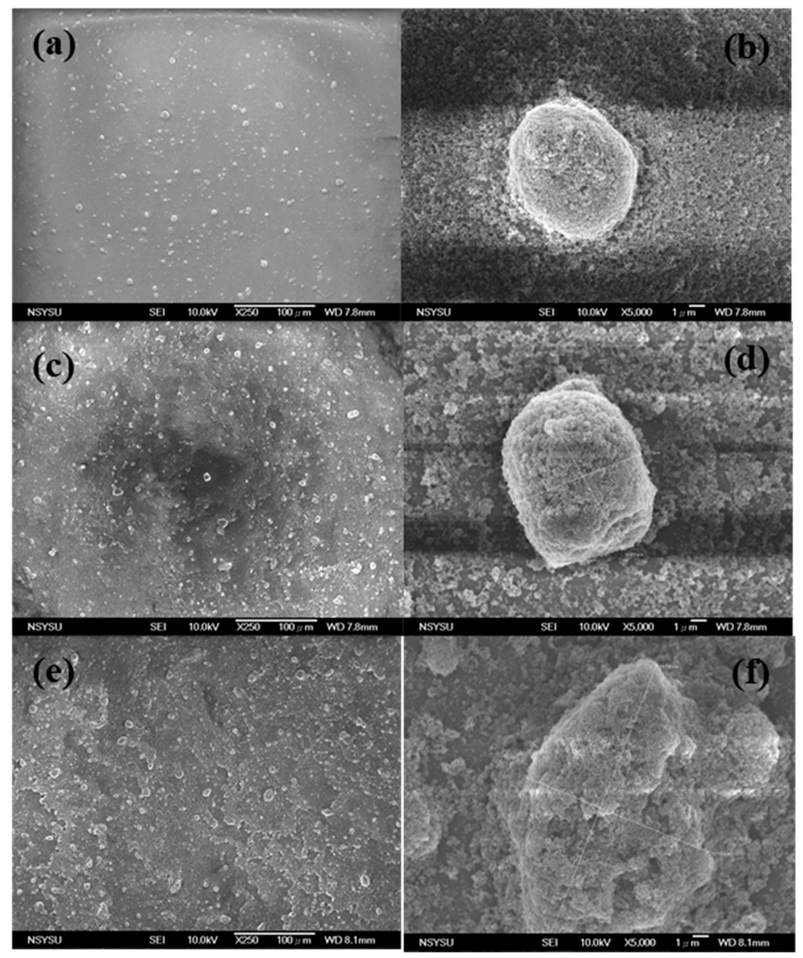 Coatings 10 00013 g002