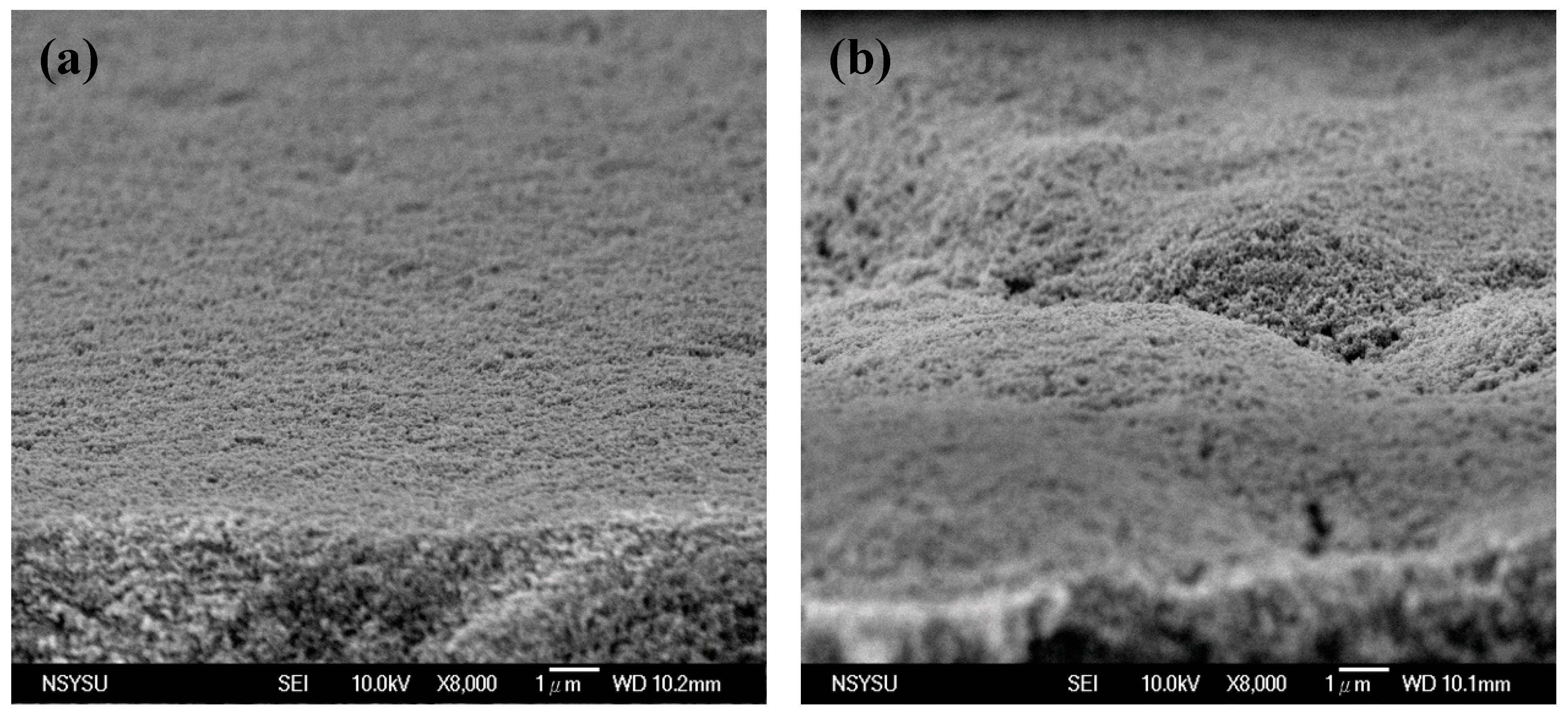 Coatings 10 00013 g005