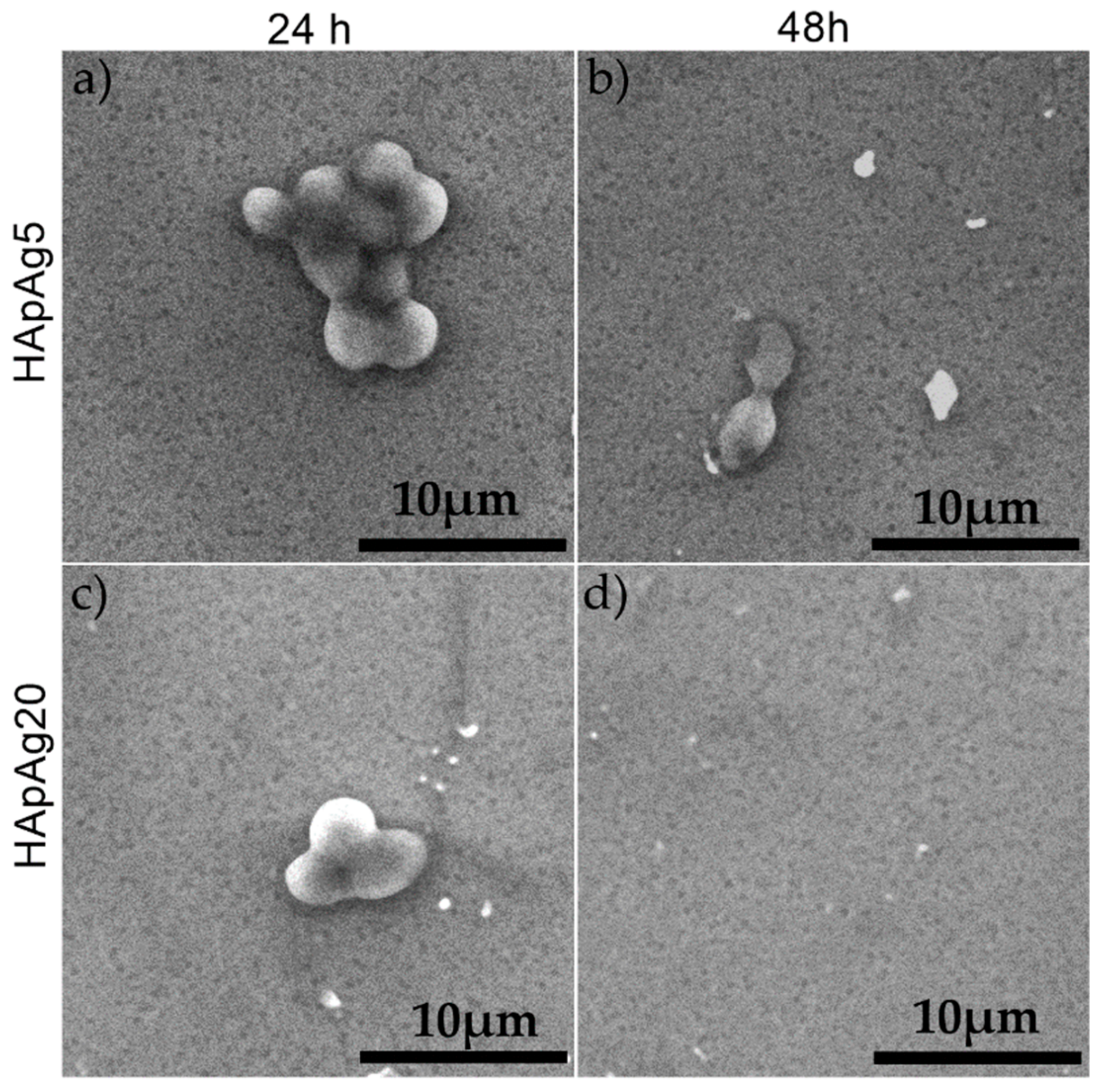 Coatings 10 00014 g008