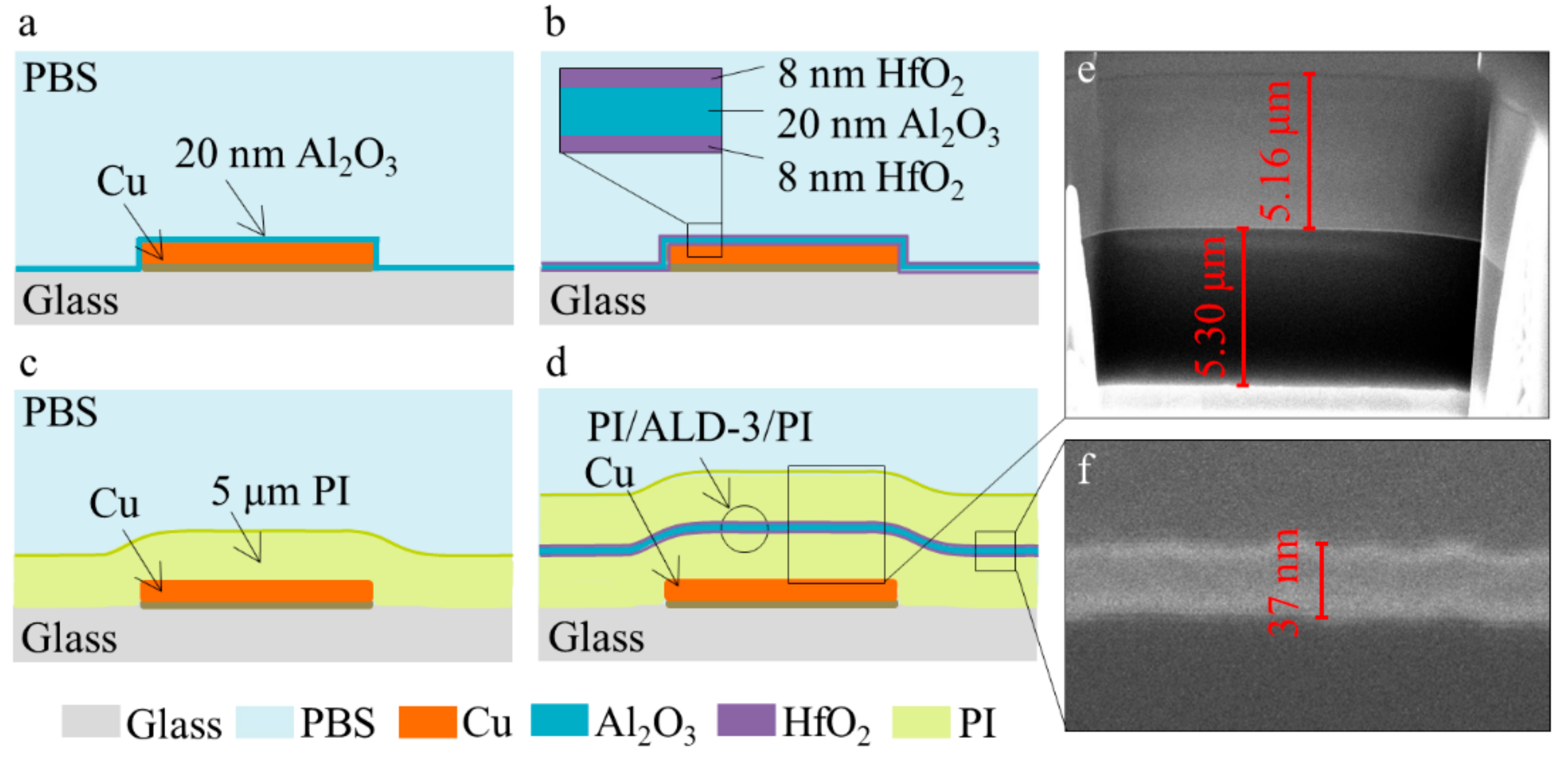 Coatings 10 00019 g001
